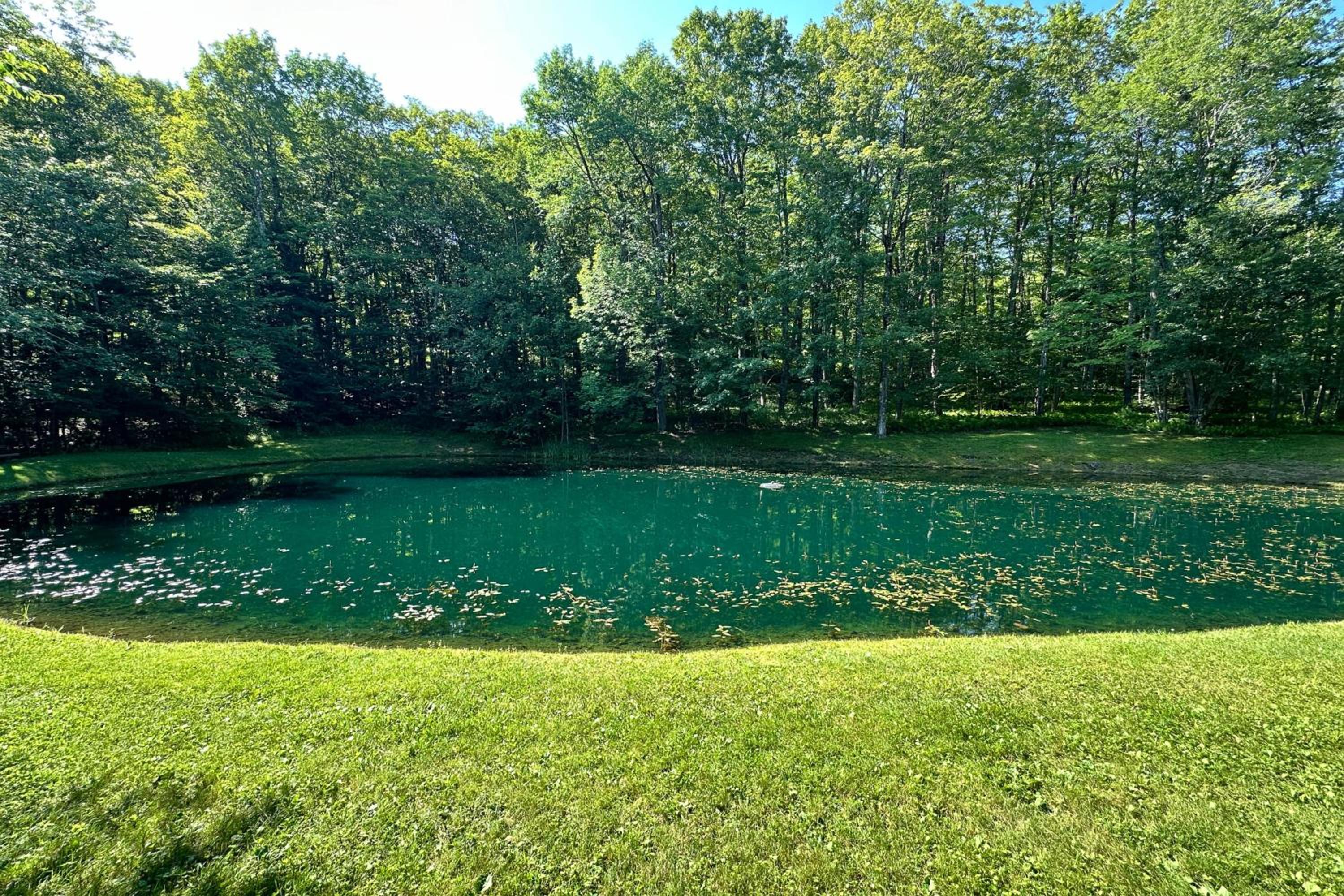 Hike, Ski and Relax Renovated Retreat in Wilmington