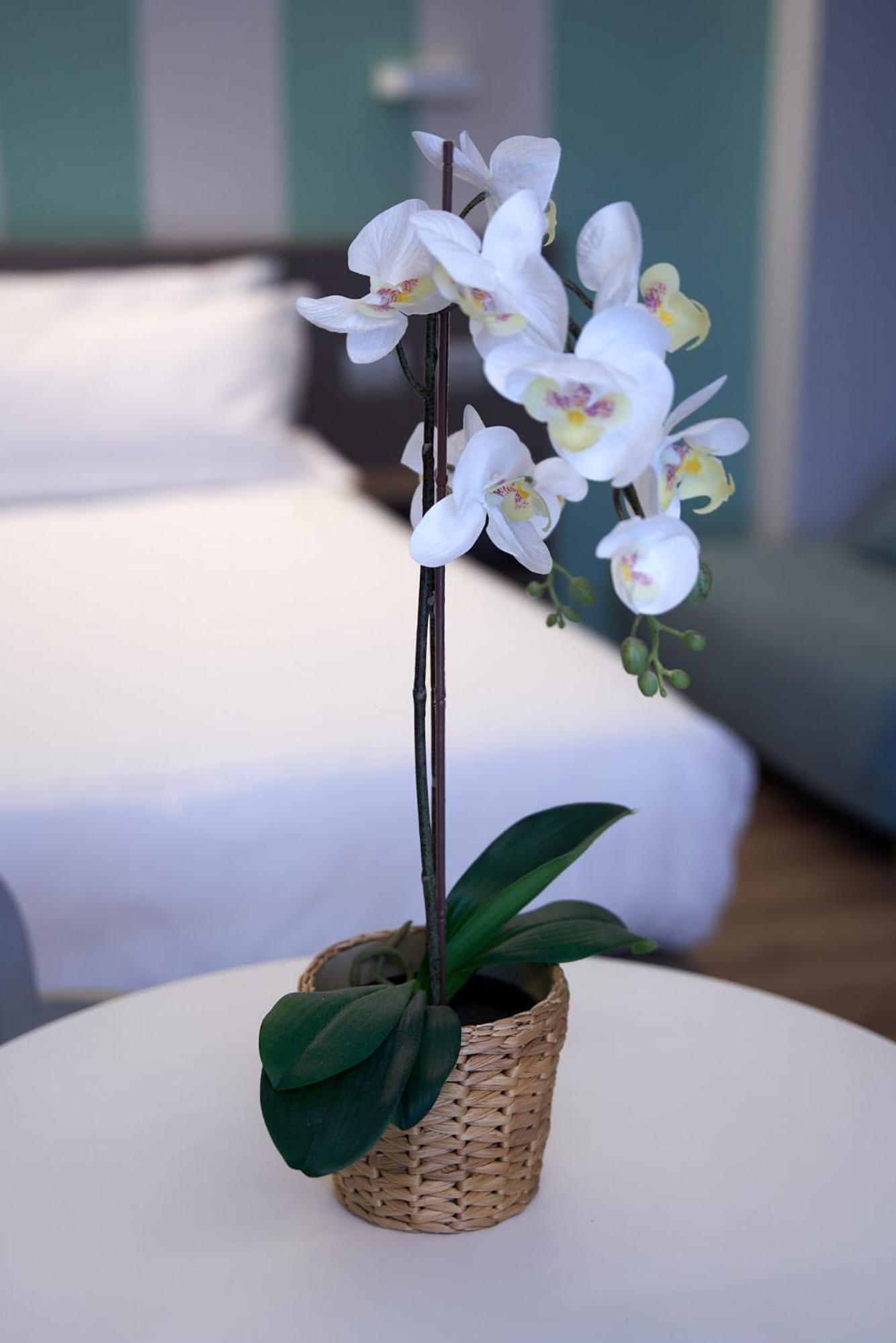 CA' San Cristoforo Apartments & Suites