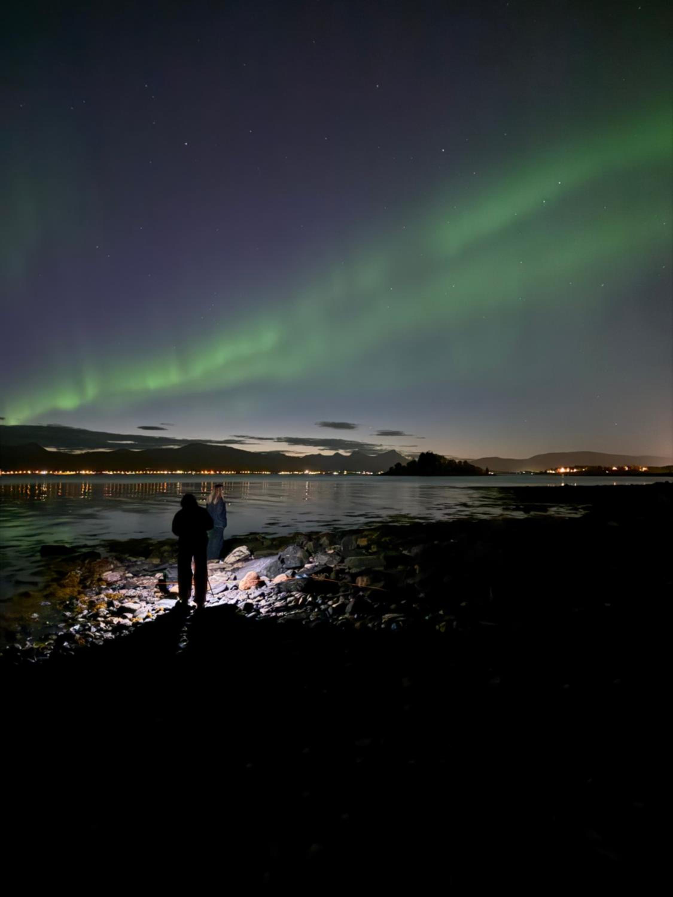 Sigridtunet - 4 bedroom Arctic experiences by the sea, with great opportunities to see the Northern lights dancing just for you!