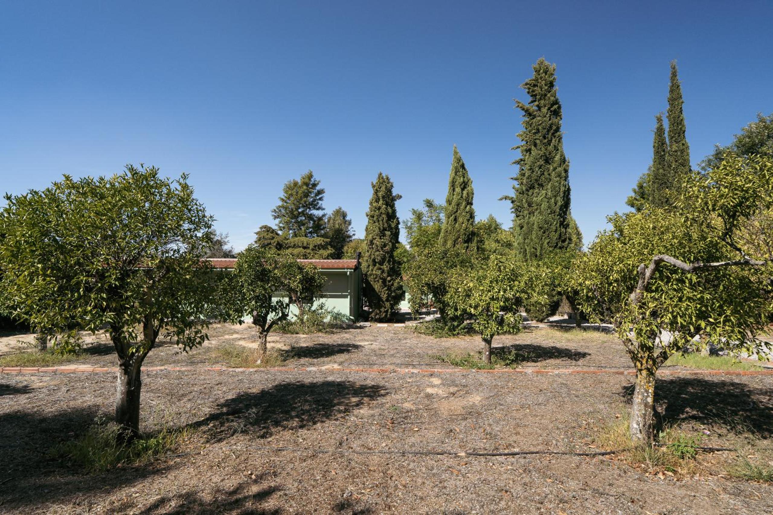 NEW! Quinta de Zanão House
