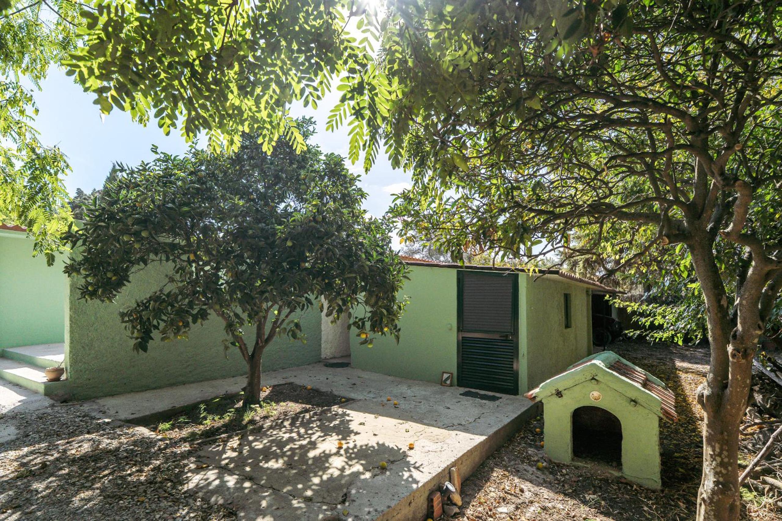 NEW! Quinta de Zanão House