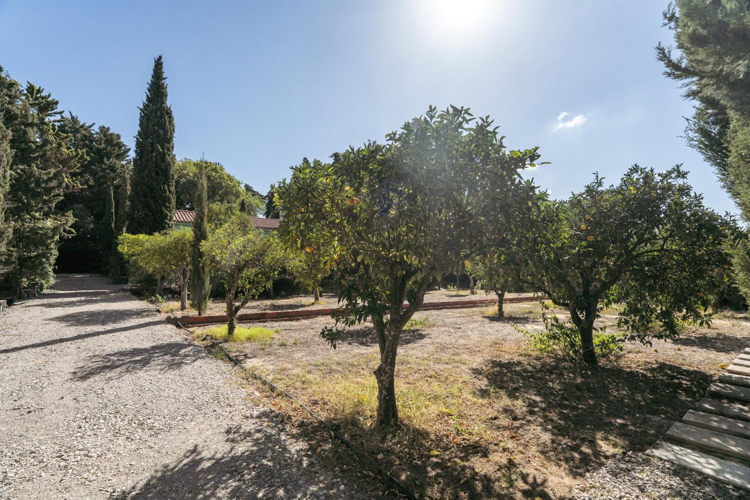 NEW! Quinta de Zanão House