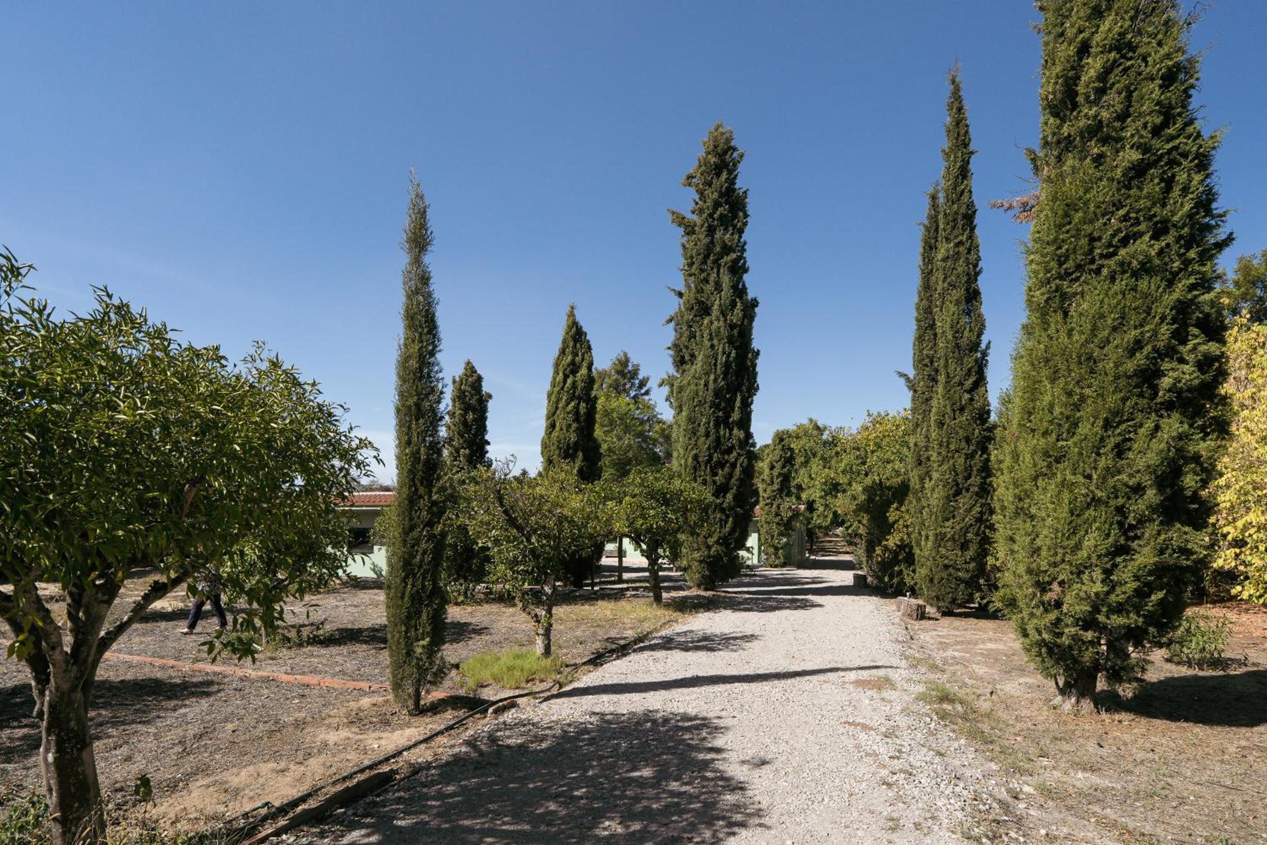 NEW! Quinta de Zanão House