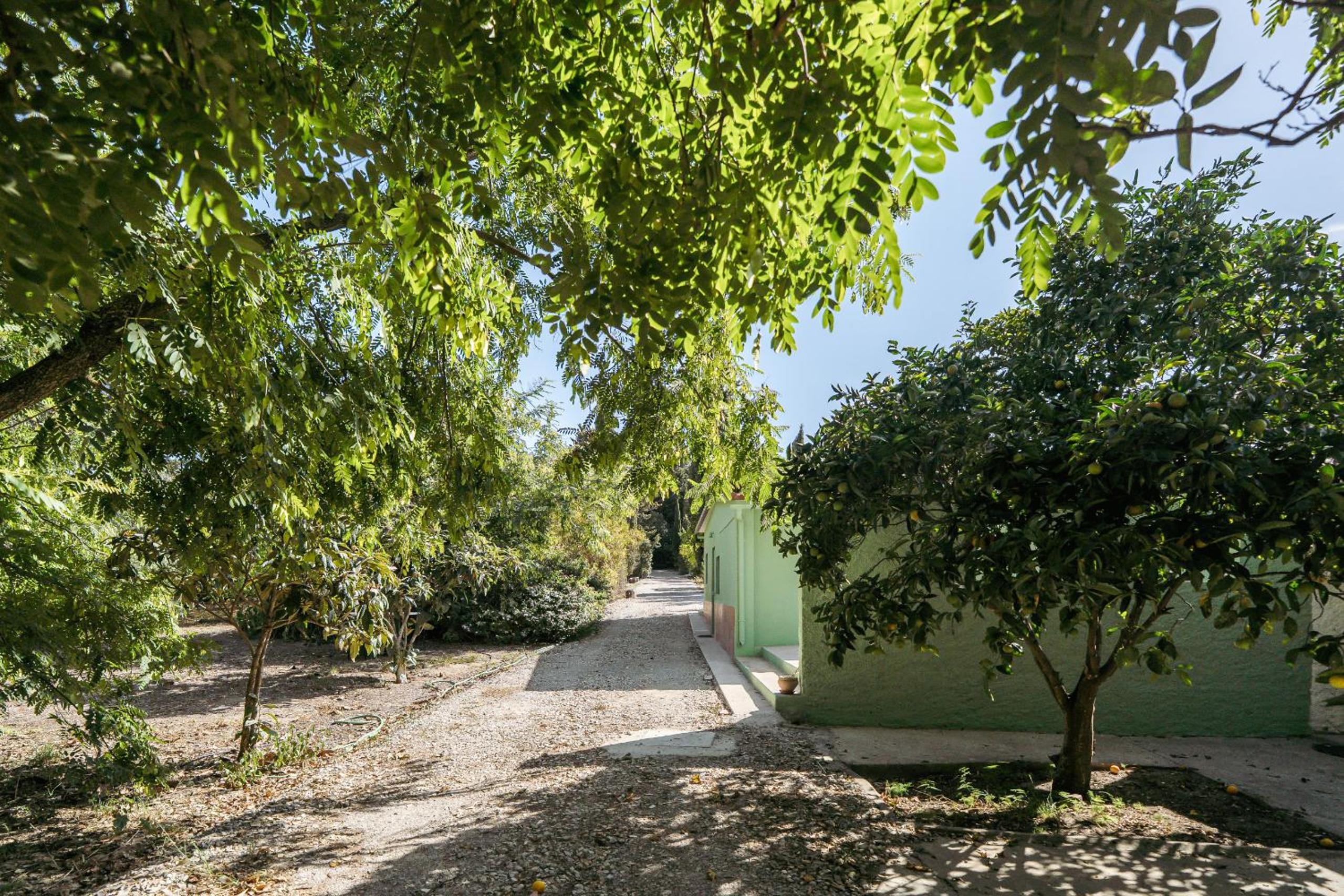 NEW! Quinta de Zanão House