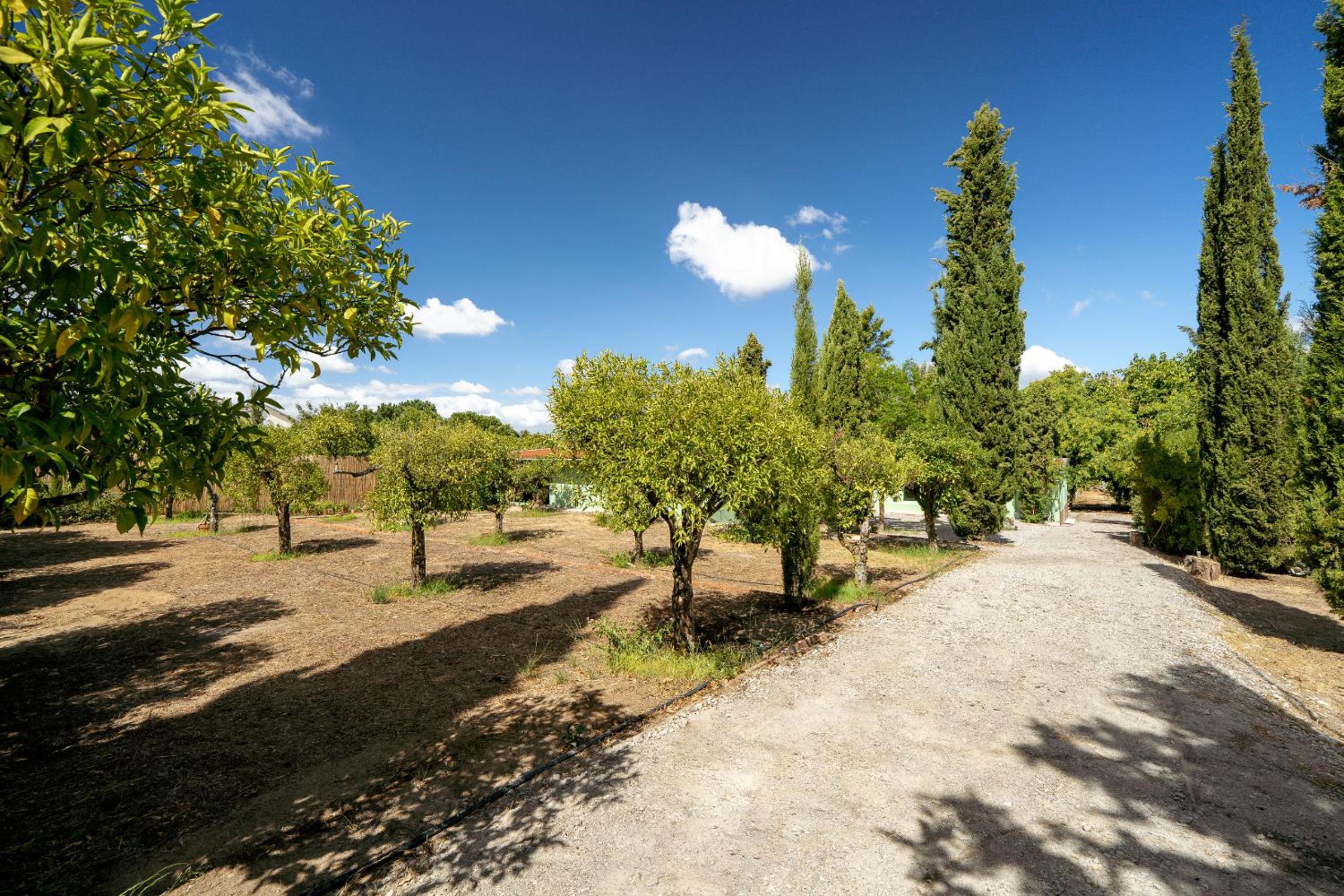 NEW! Quinta de Zanão House