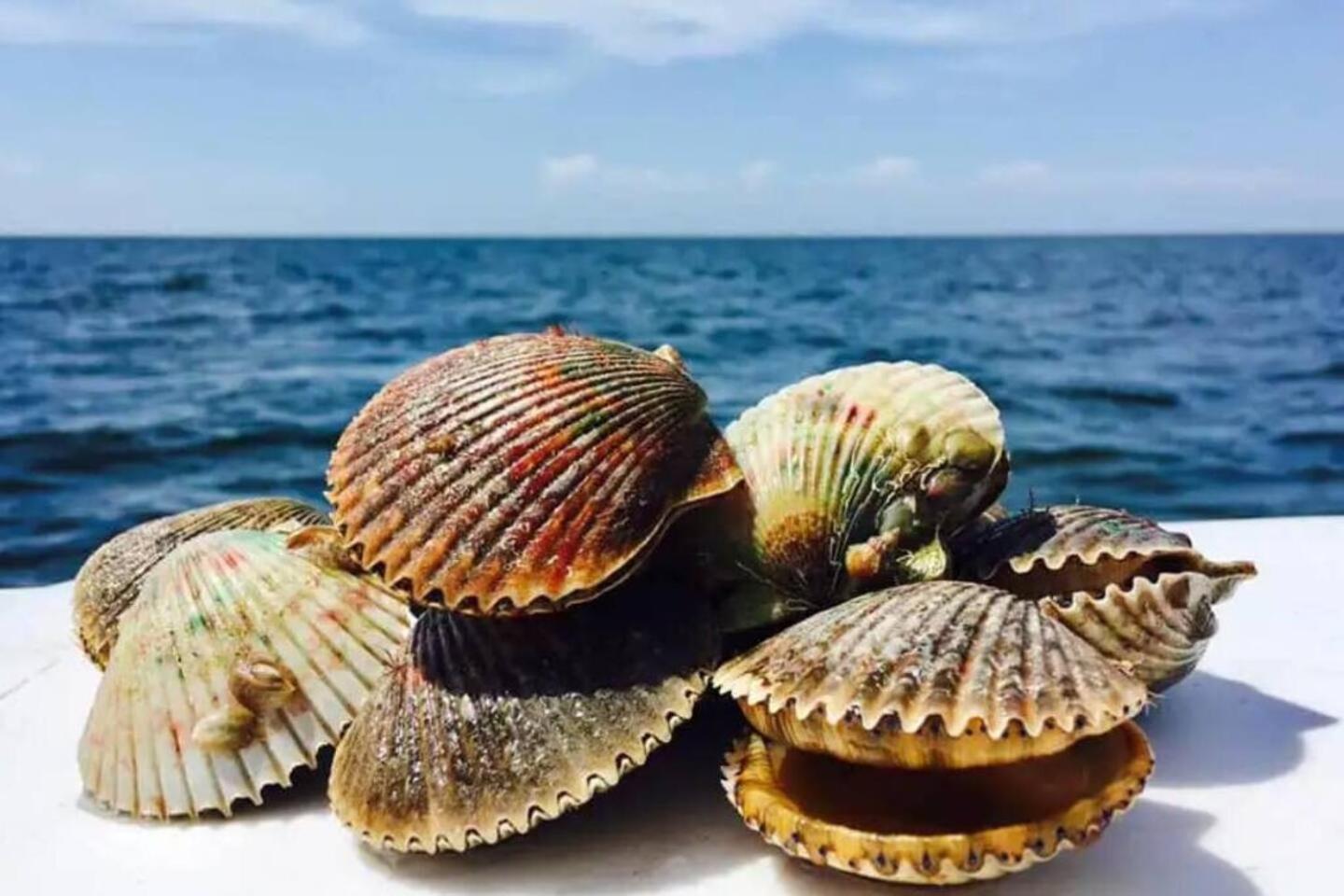 The Happy Haven - Near Manatee Tours - Pet Friendly