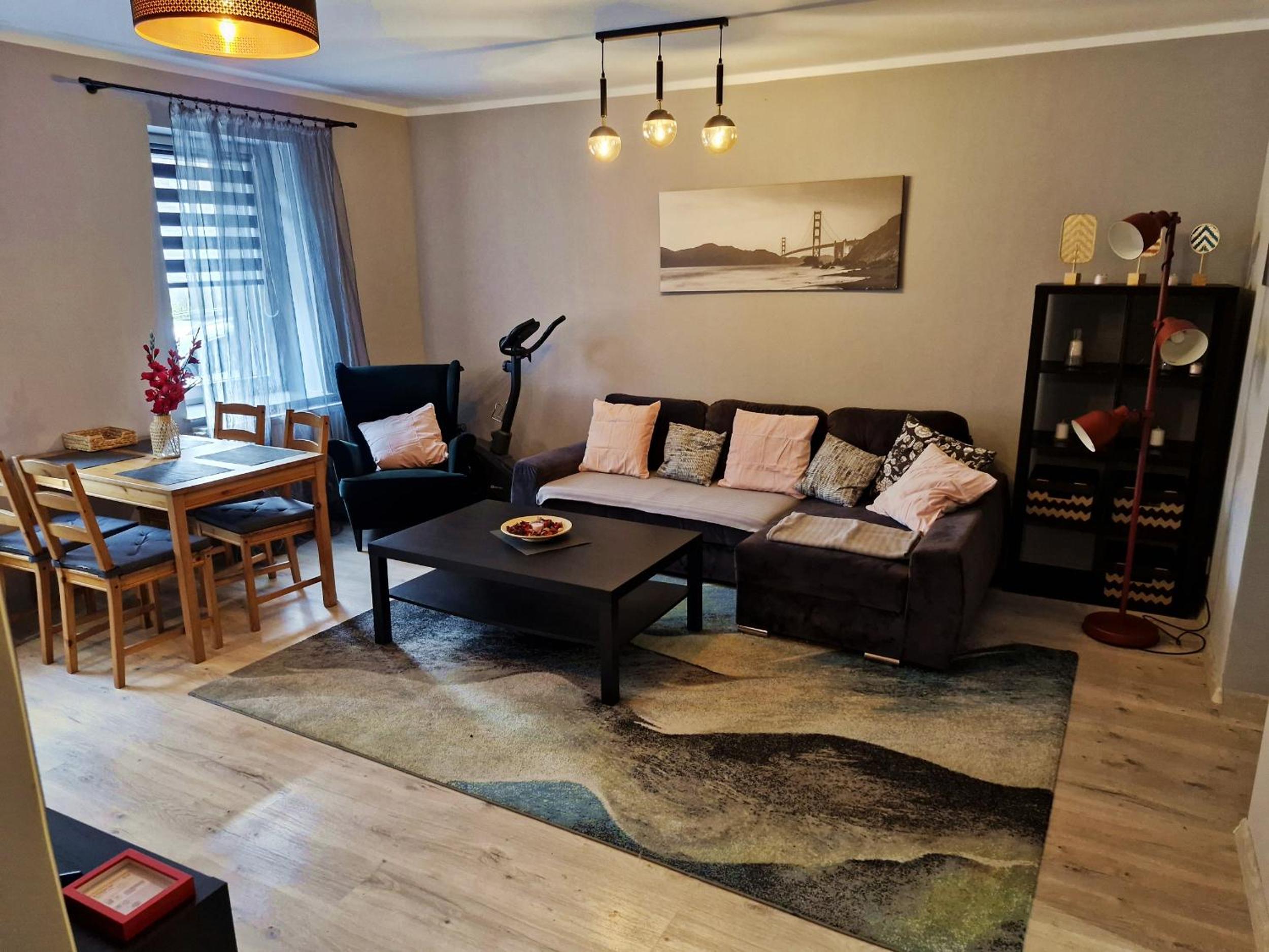 Friendly Apartment Wełnowiec