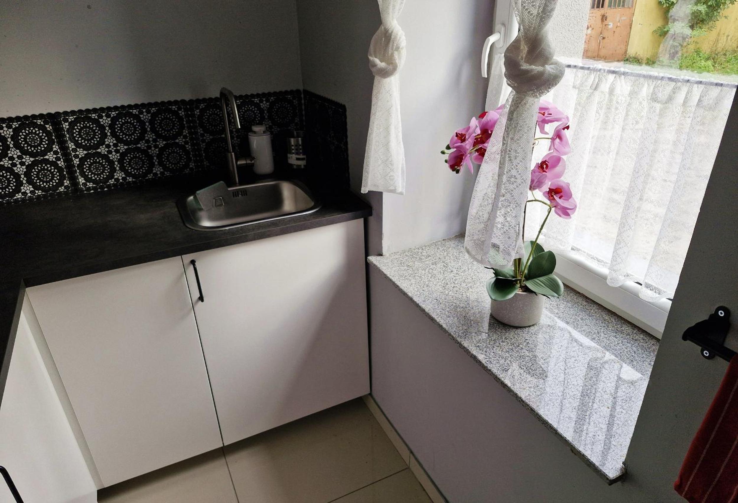 Friendly Apartment Wełnowiec