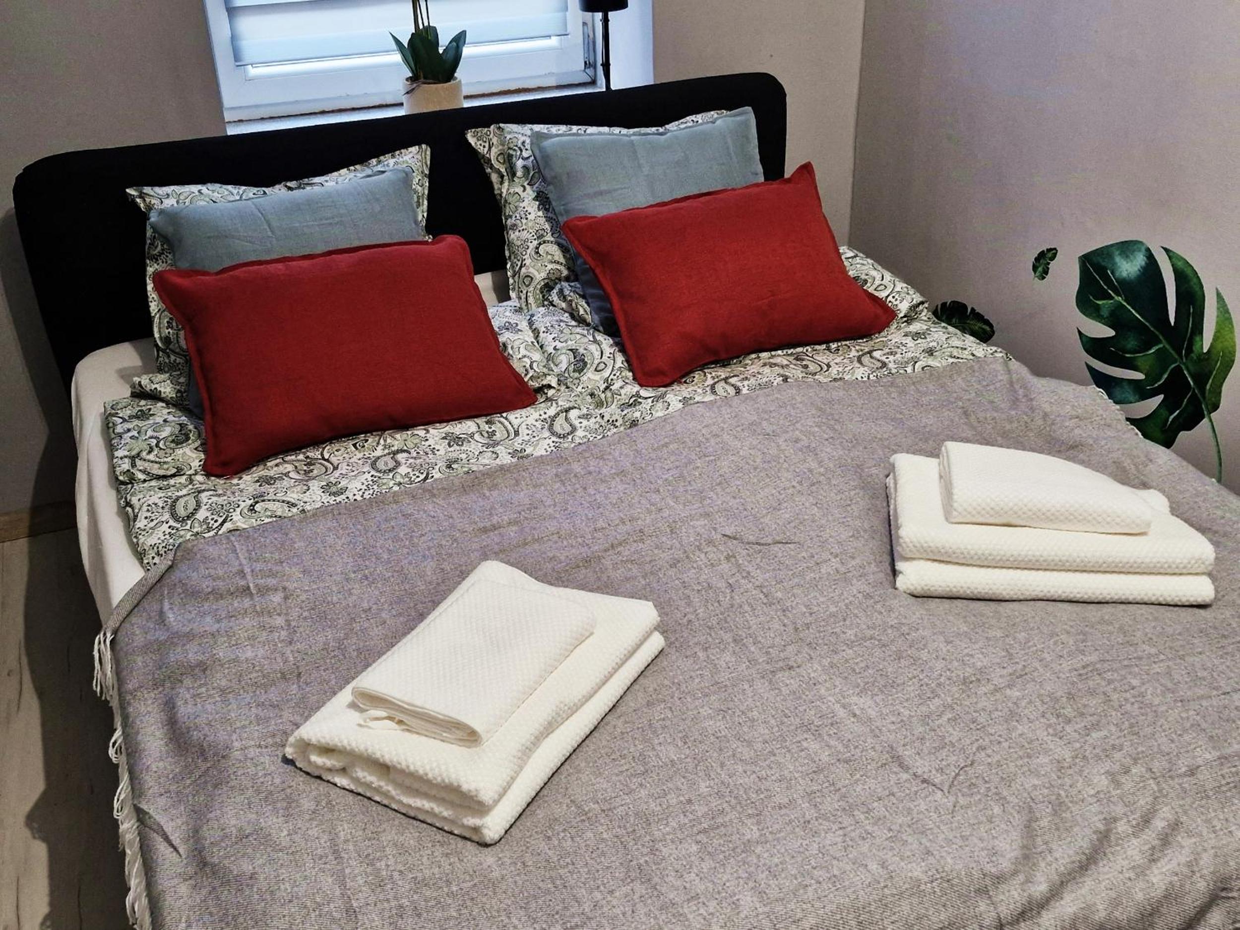 Friendly Apartment Wełnowiec