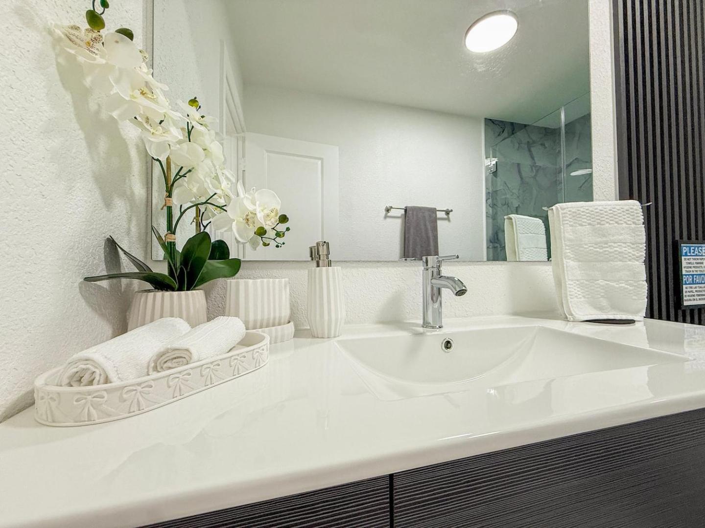 Luxury Suite Studio with Kitchen & Spa Shower