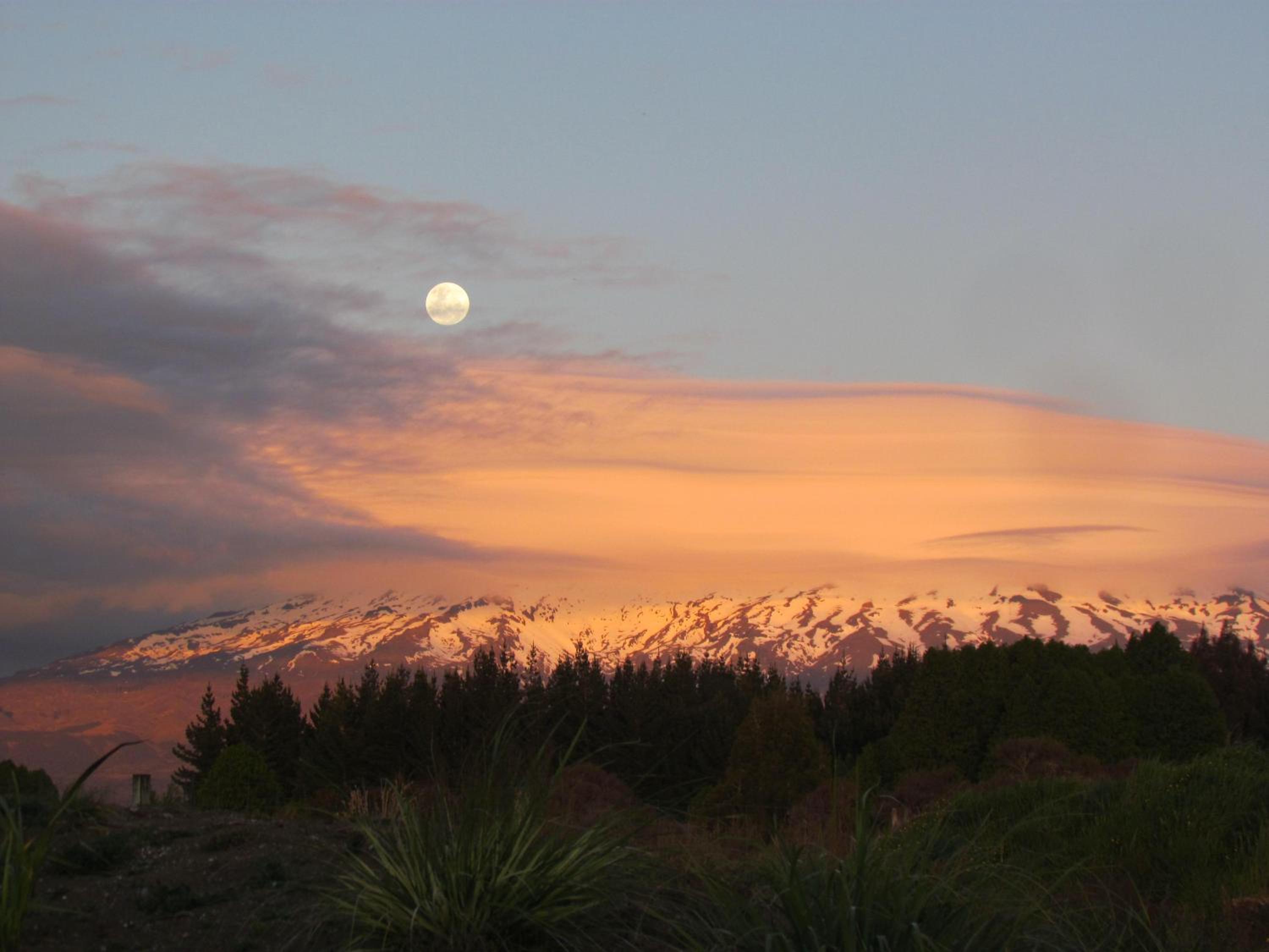 Tongariro Suites