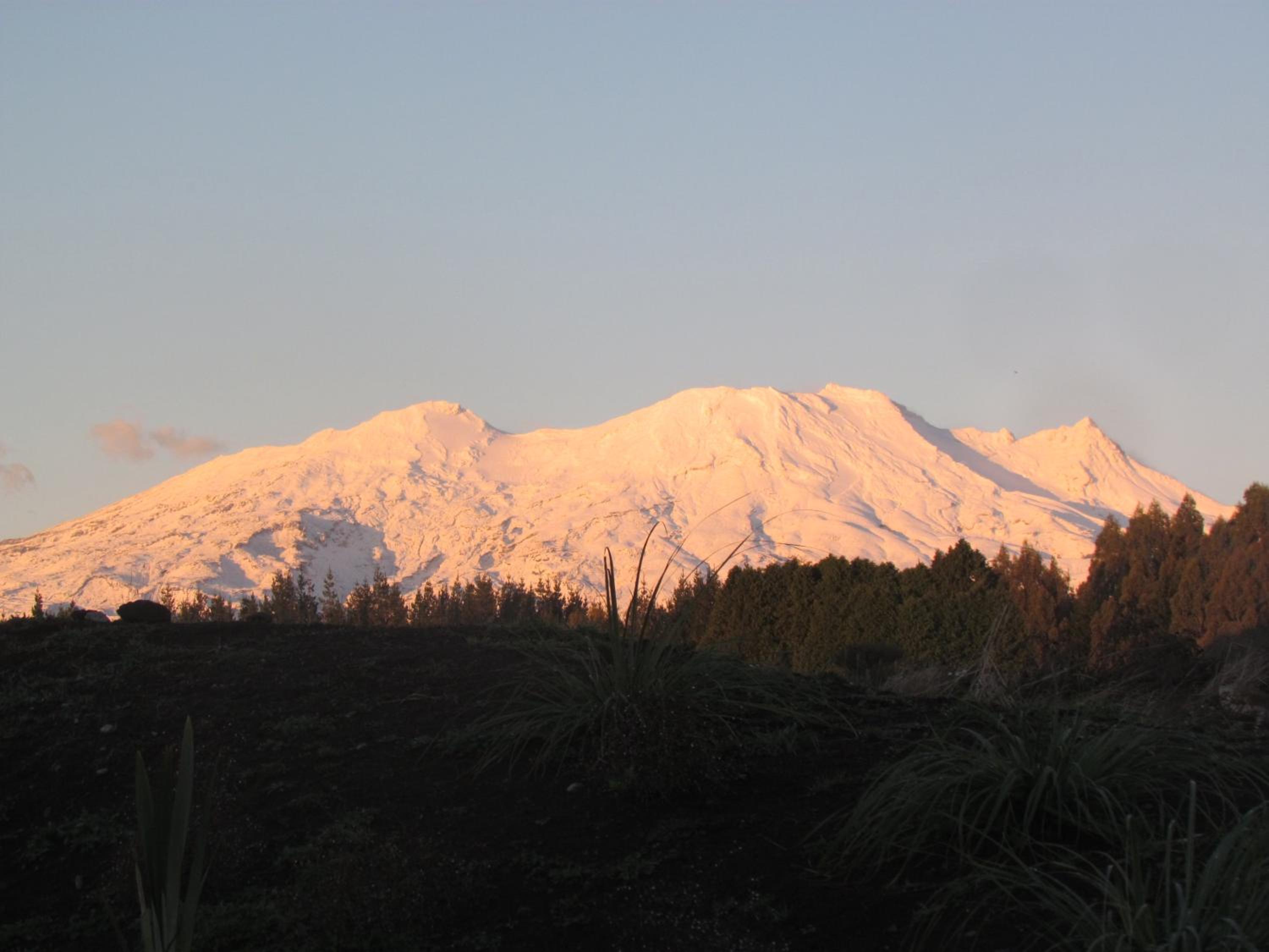 Tongariro Suites