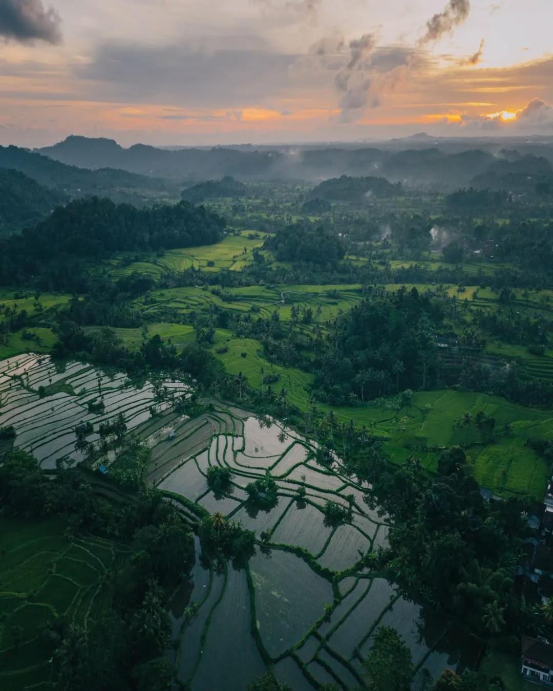 Avana Bali Bamboo House