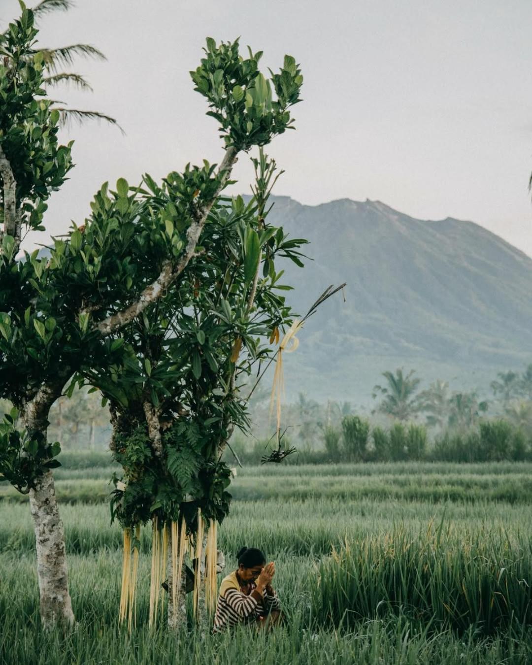 Avana Bali Bamboo House