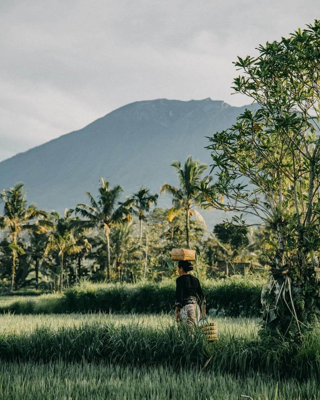 Avana Bali Bamboo House