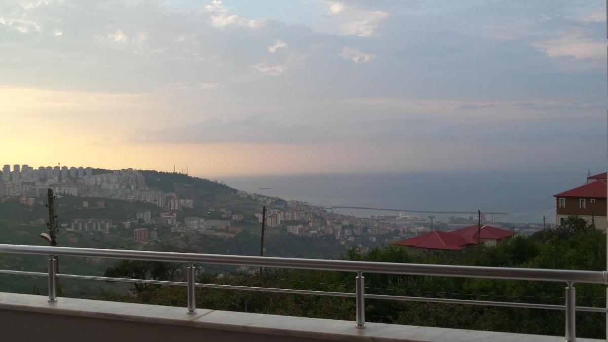 Photo 47