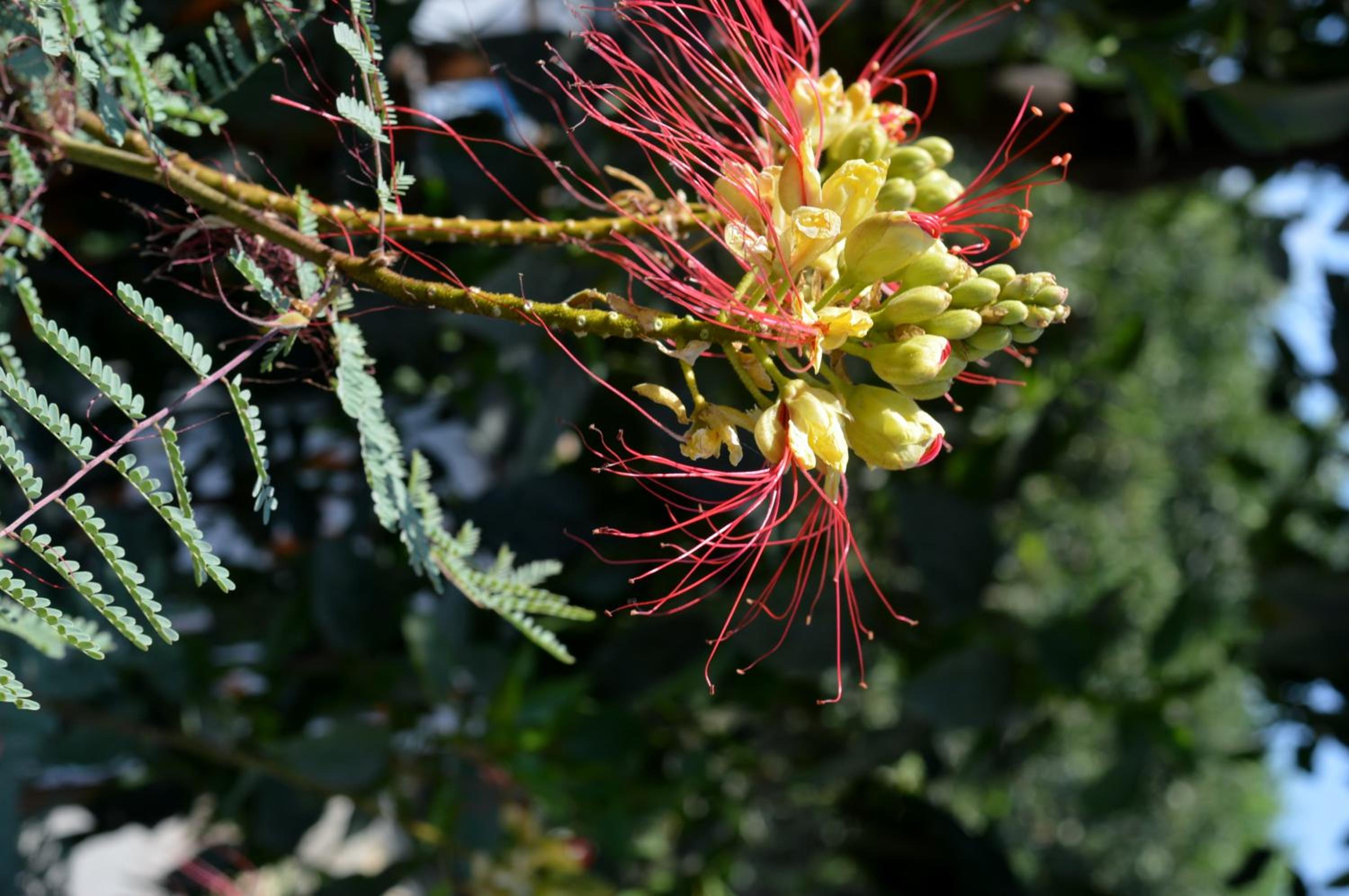 Photo 45