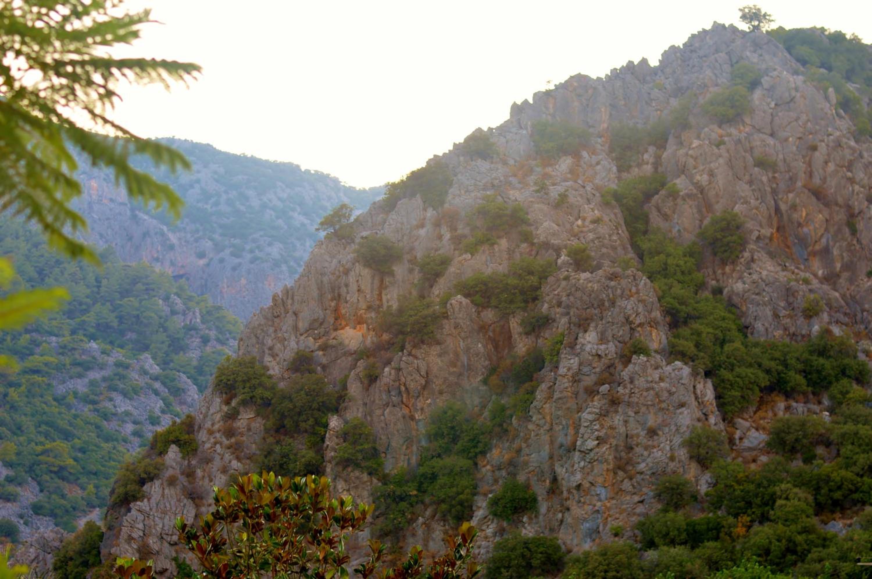 Photo 48