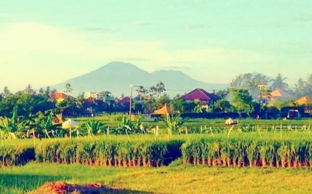 The Hideaway Canggu view 3