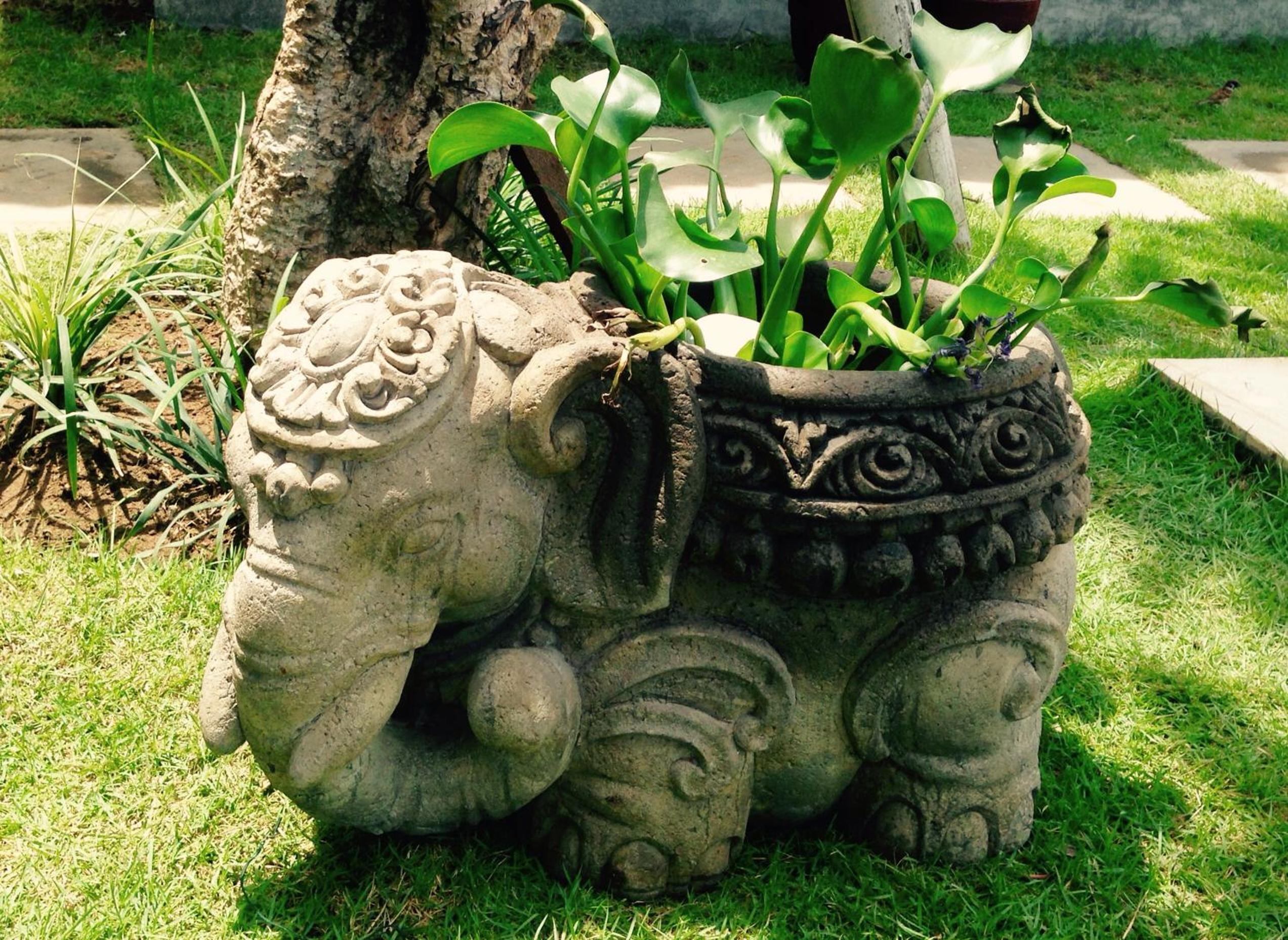 Photo 41