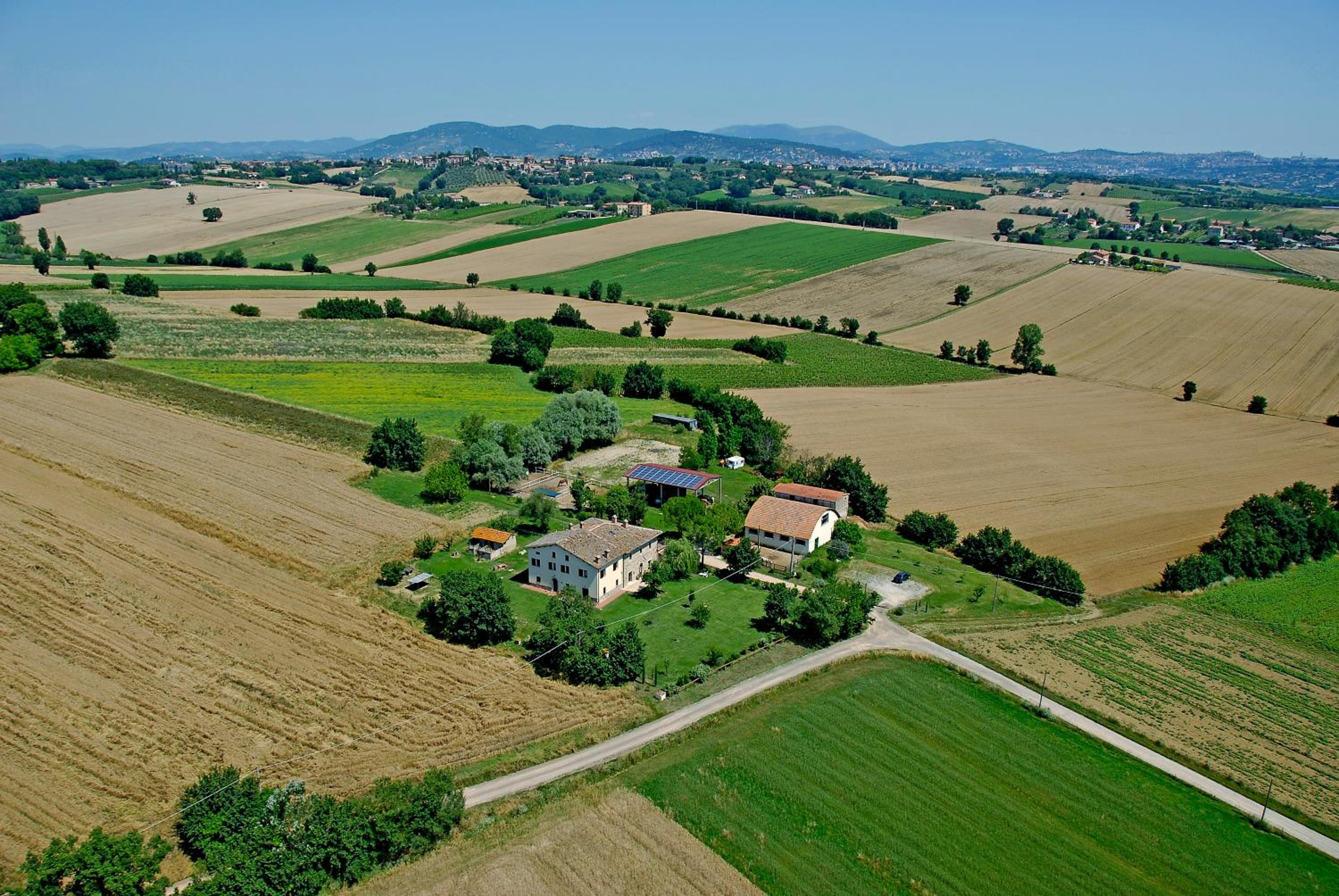 Fattoria Il Bruco