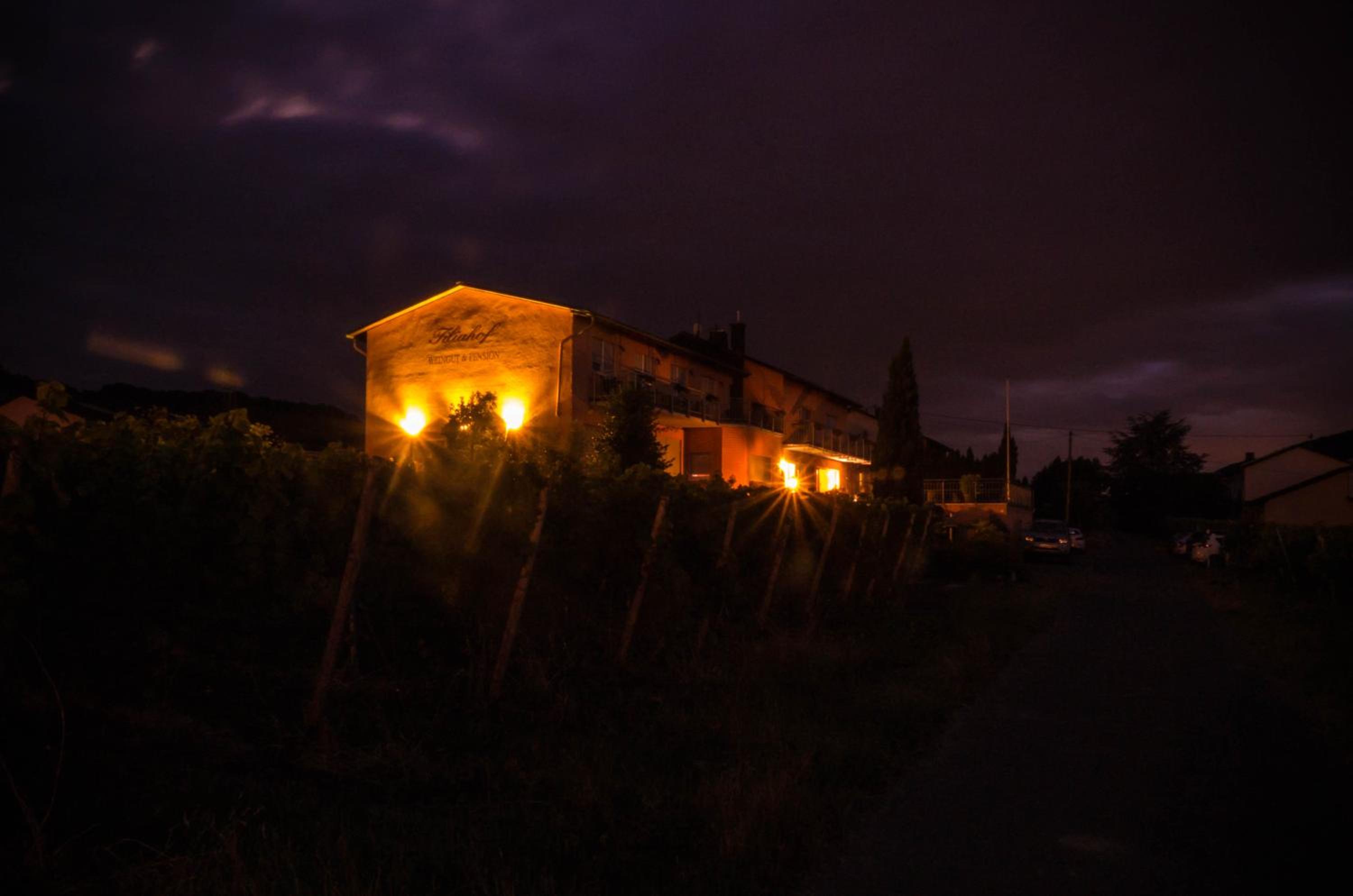 Weingut Tiliahof