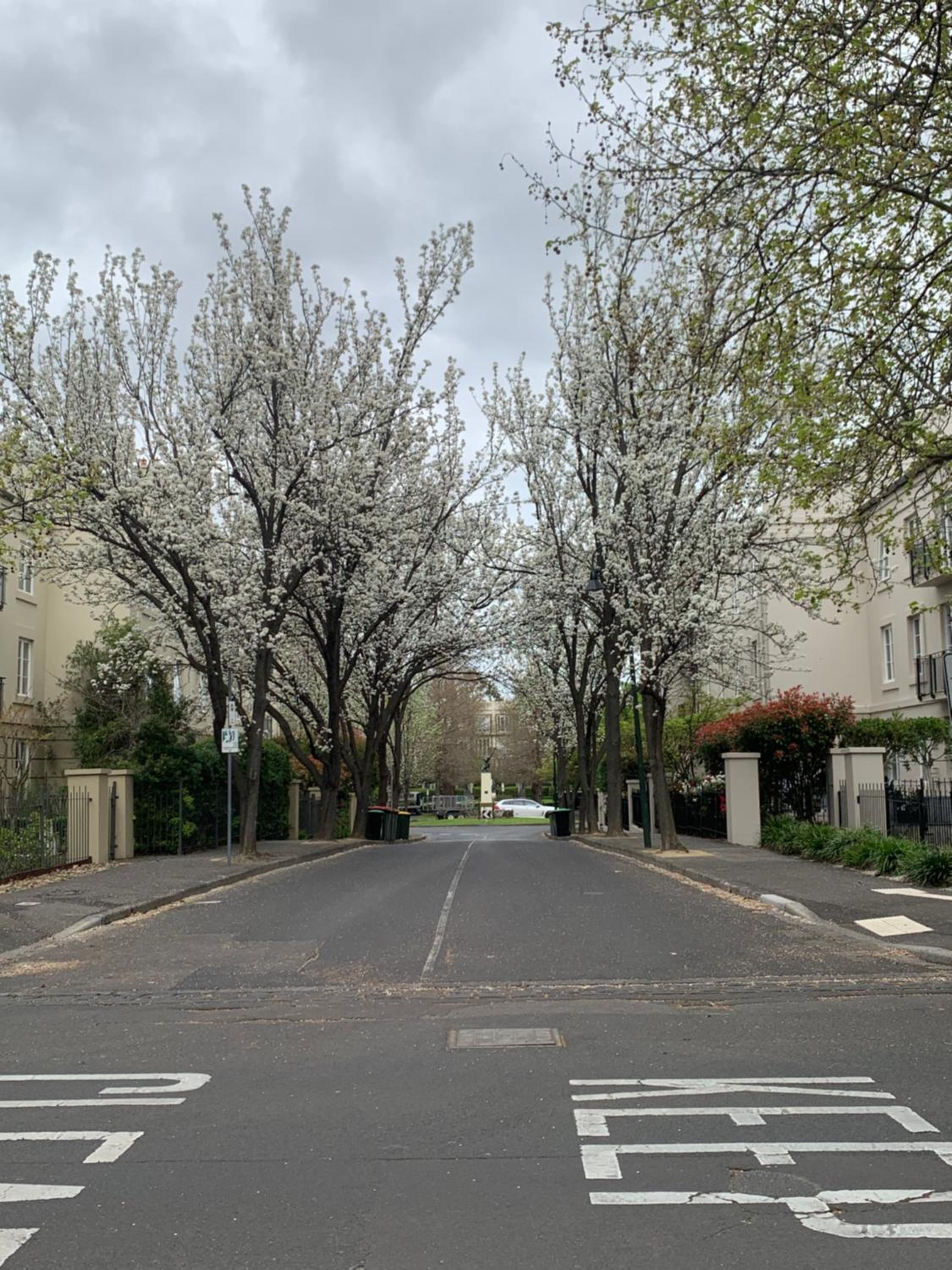 Paris in East Melbourne