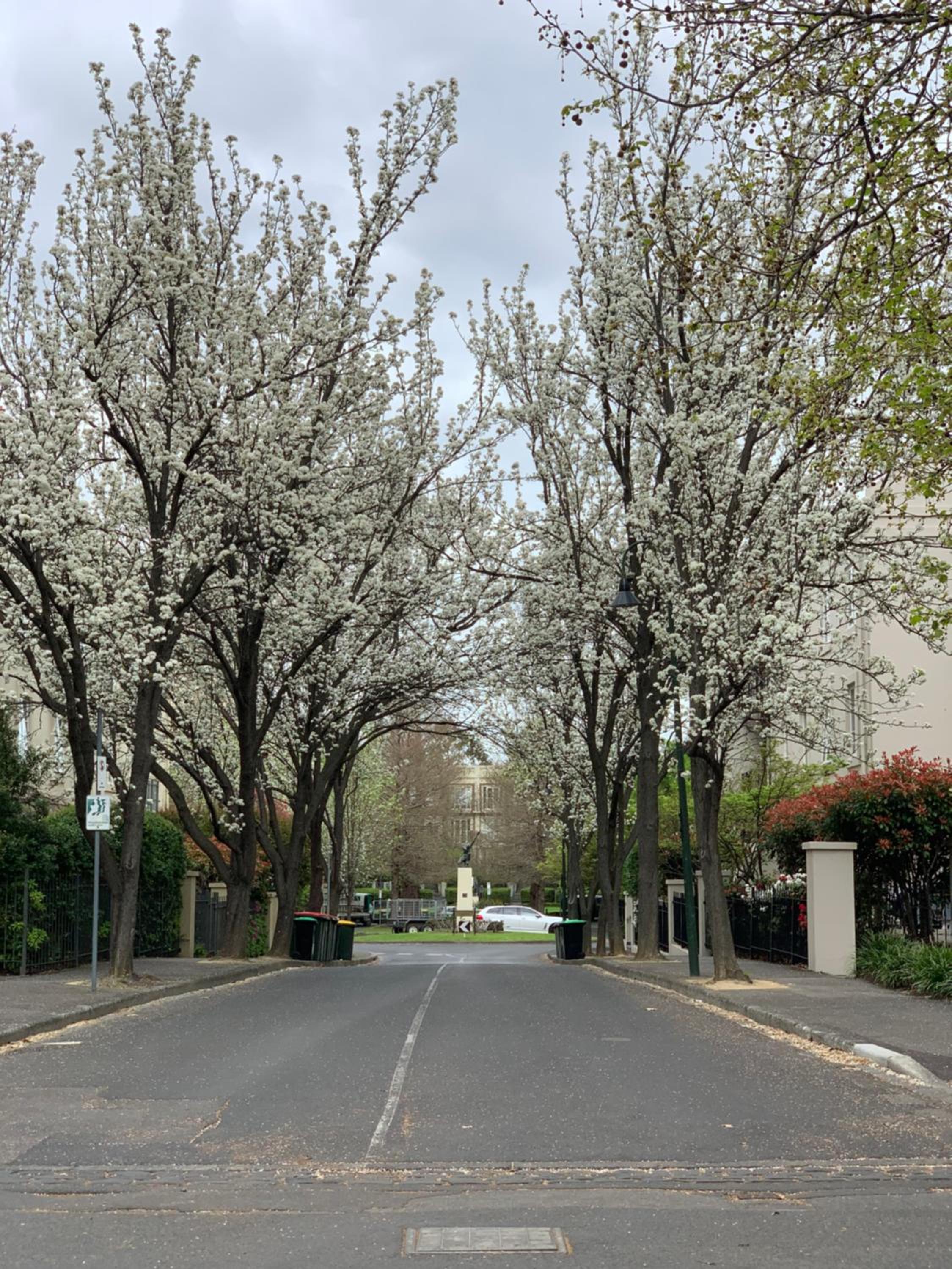 Paris in East Melbourne