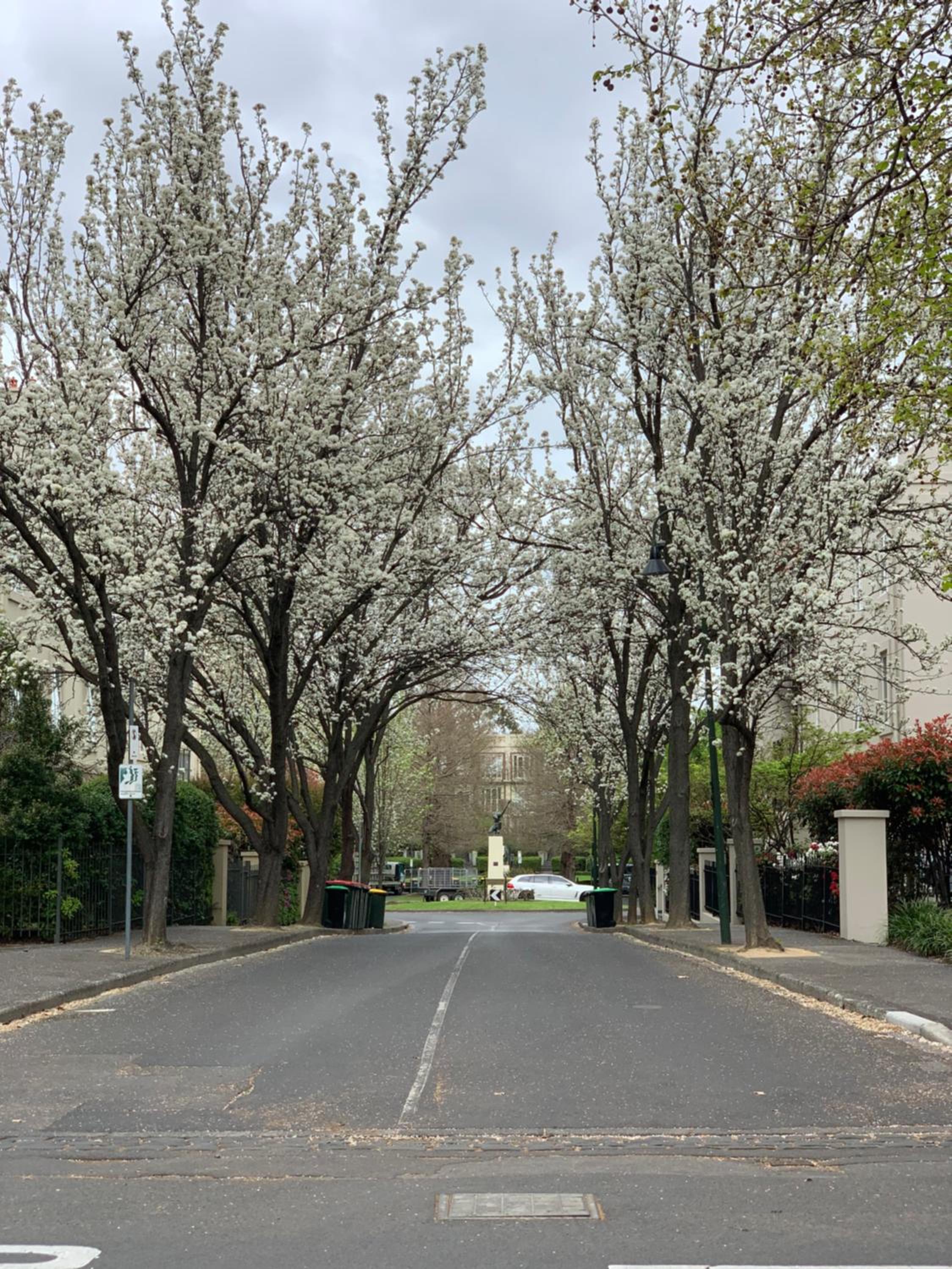 Paris in East Melbourne