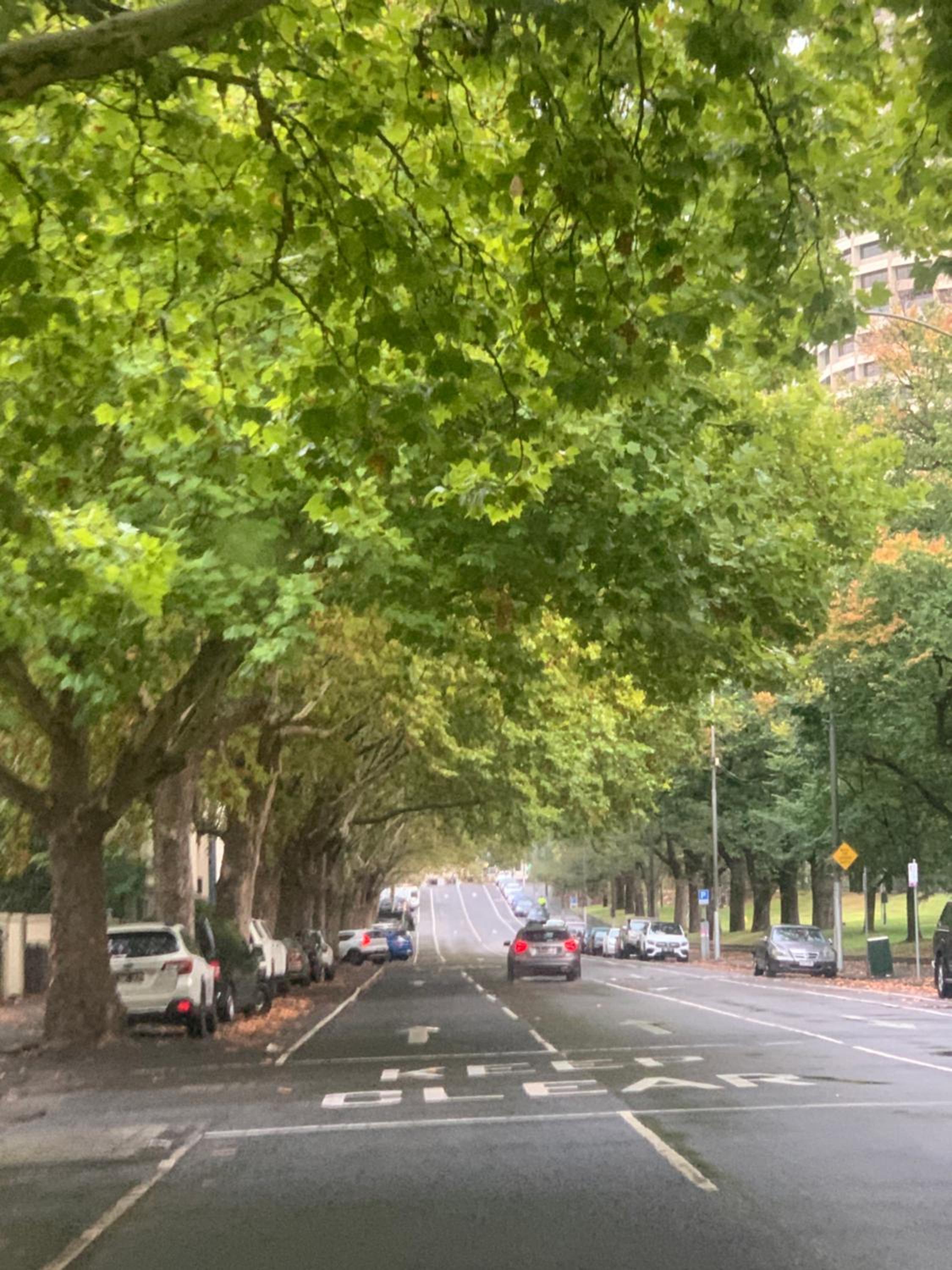 Paris in East Melbourne