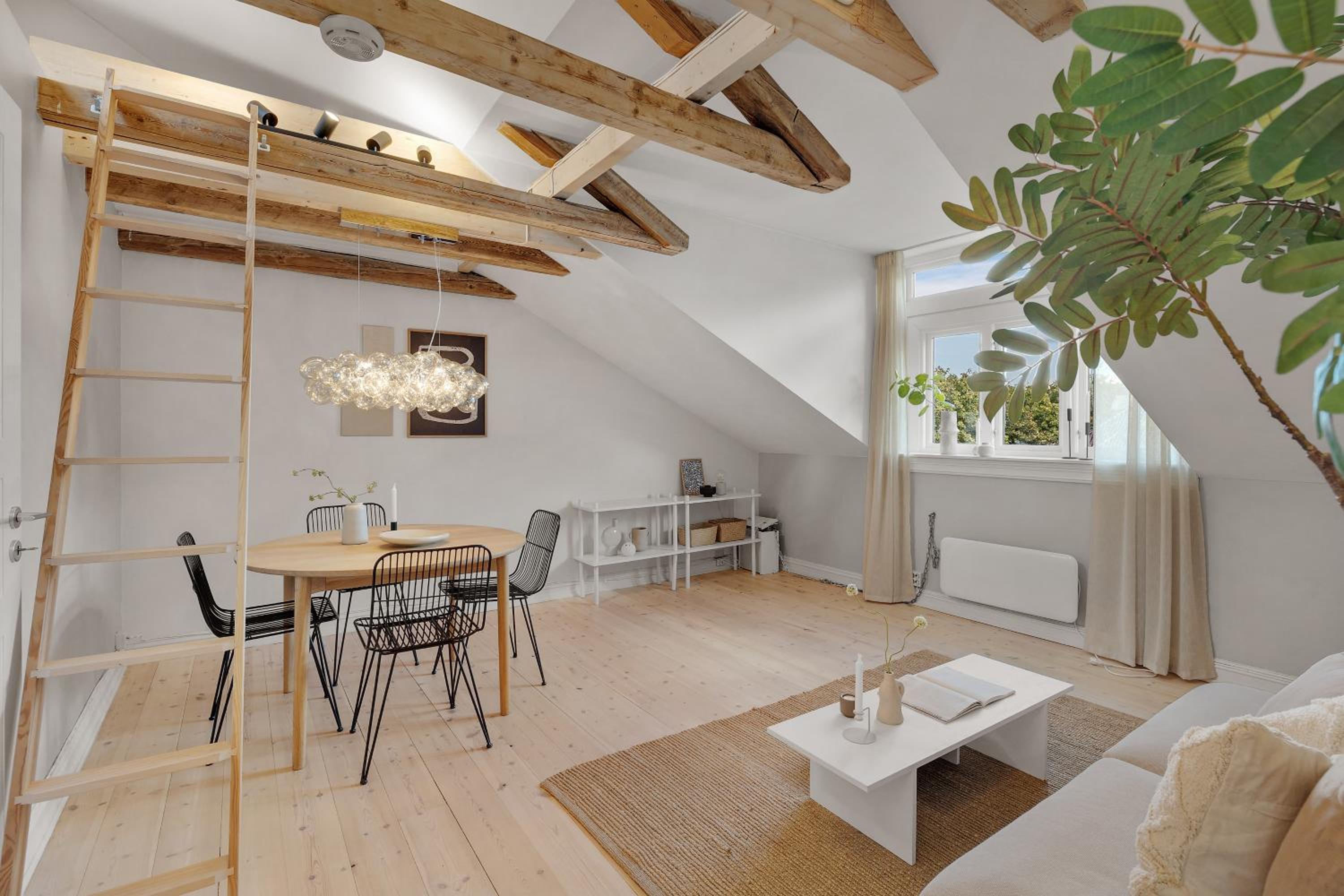 Urban Oasis in Trendy Grünerløkka - entire unit