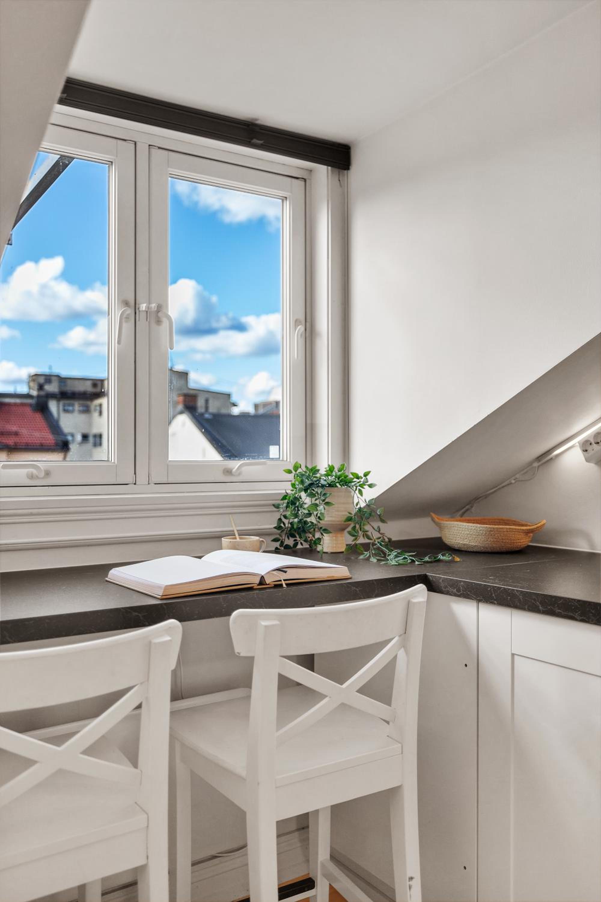 Urban Oasis in Trendy Grünerløkka - entire unit