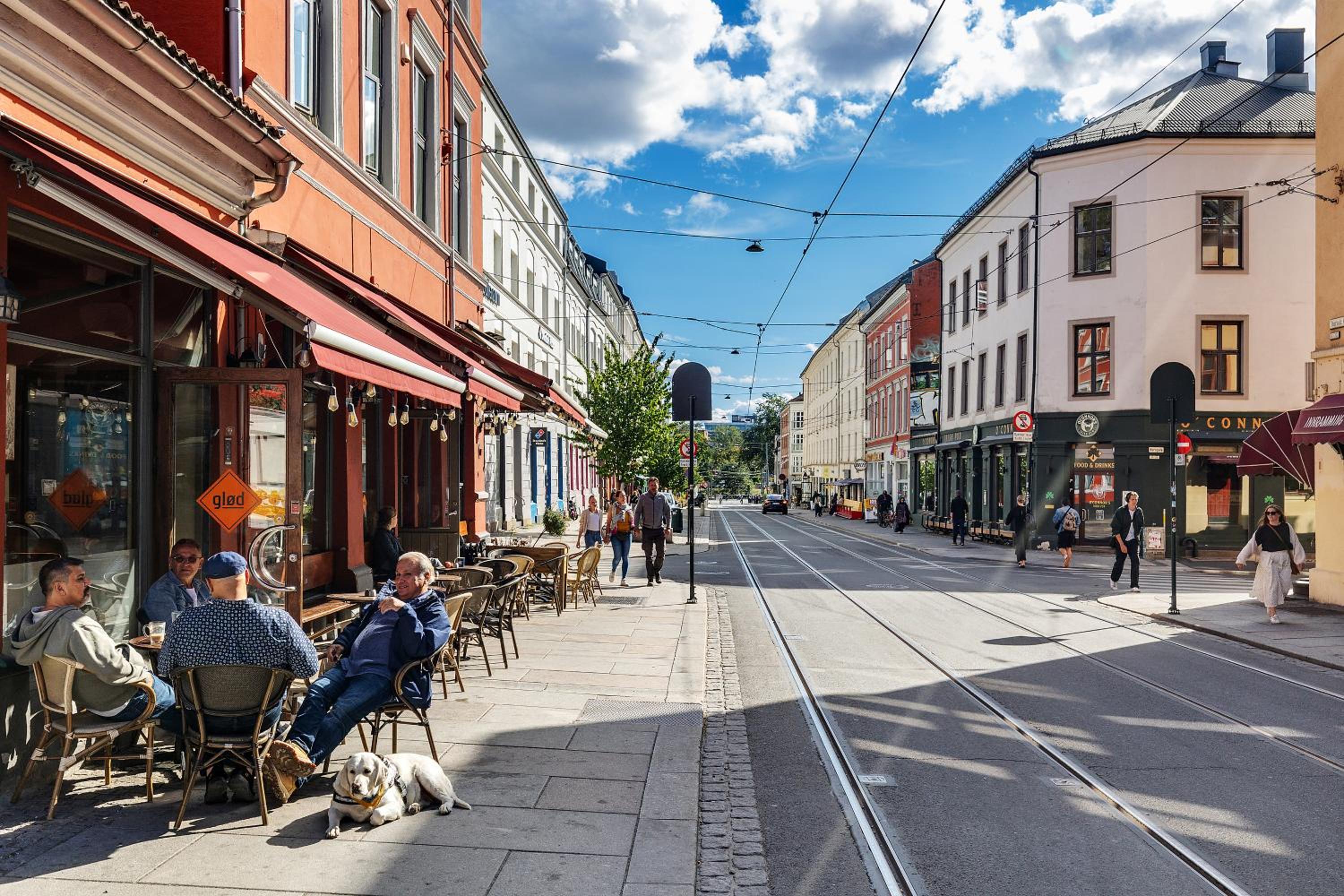 Urban Oasis in Trendy Grünerløkka - entire unit