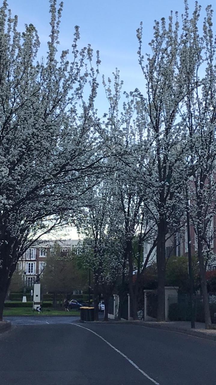 Paris in East Melbourne