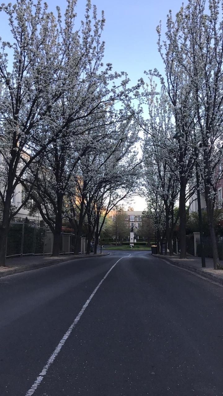 Paris in East Melbourne