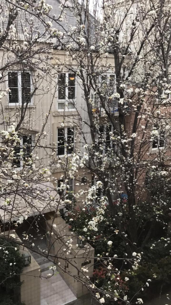 Paris in East Melbourne