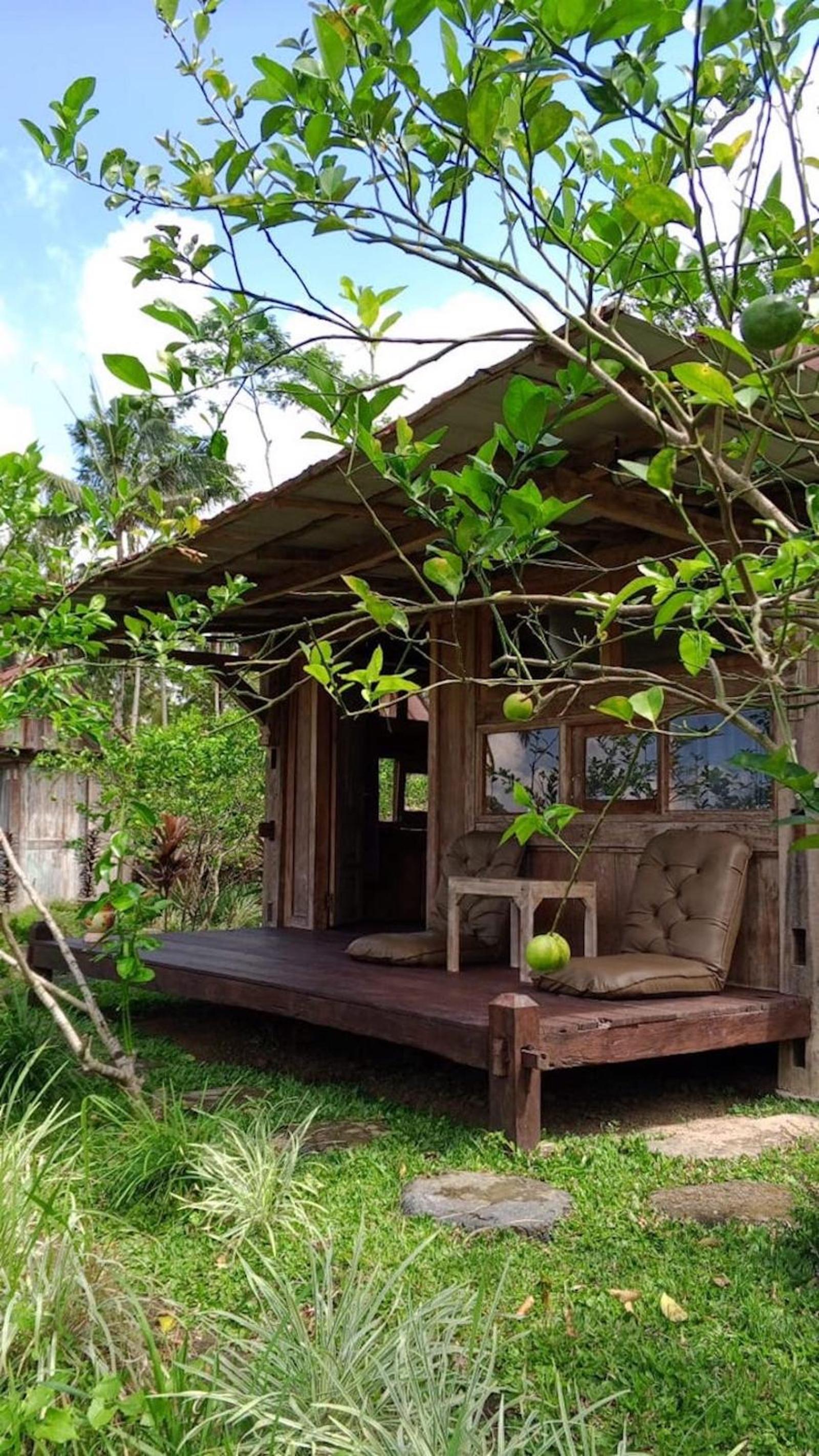 Homestay Ijen Lemon House