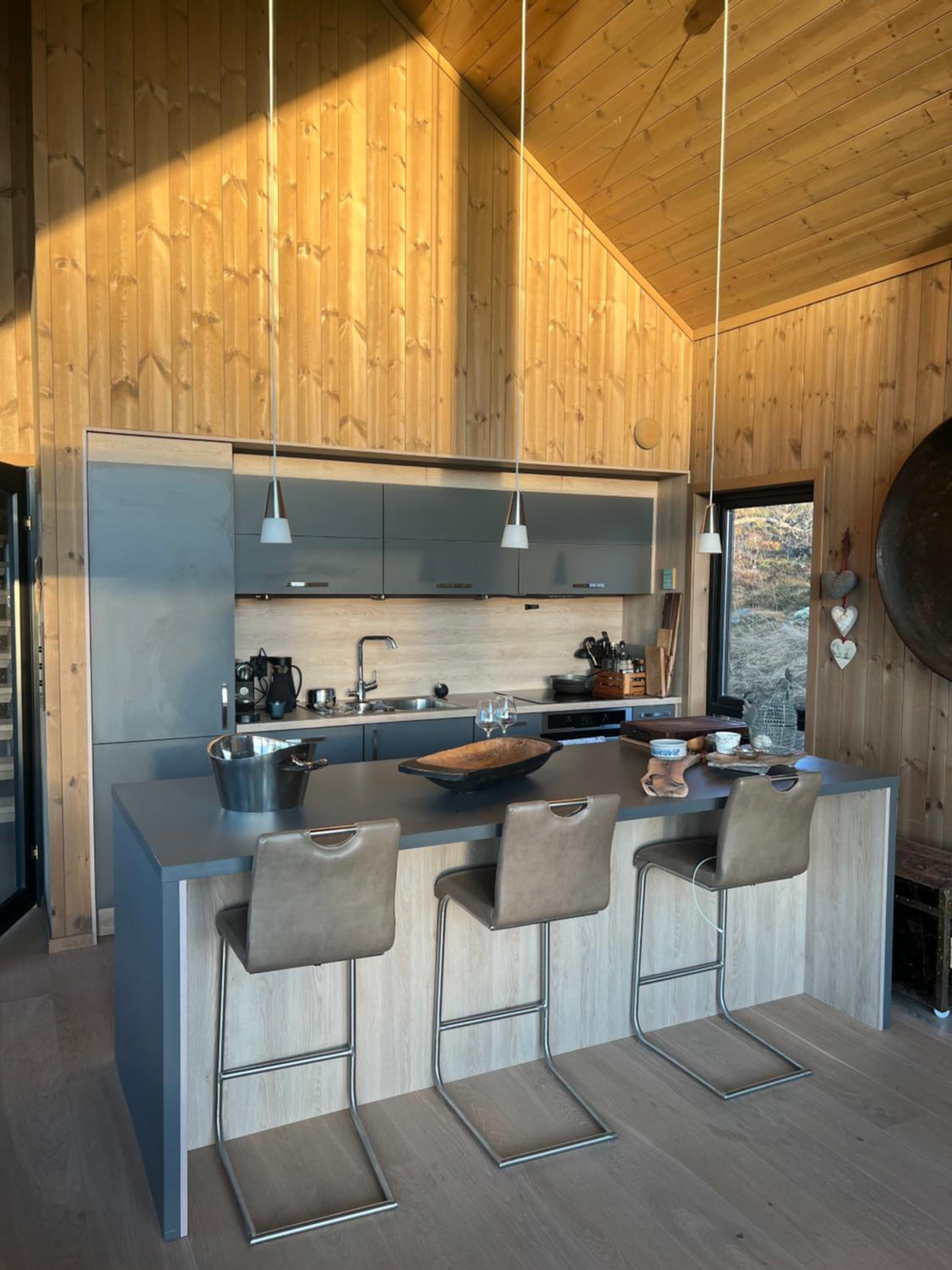 Spacious modern family chalet in Solhovda close to hiking, skiing & nature
