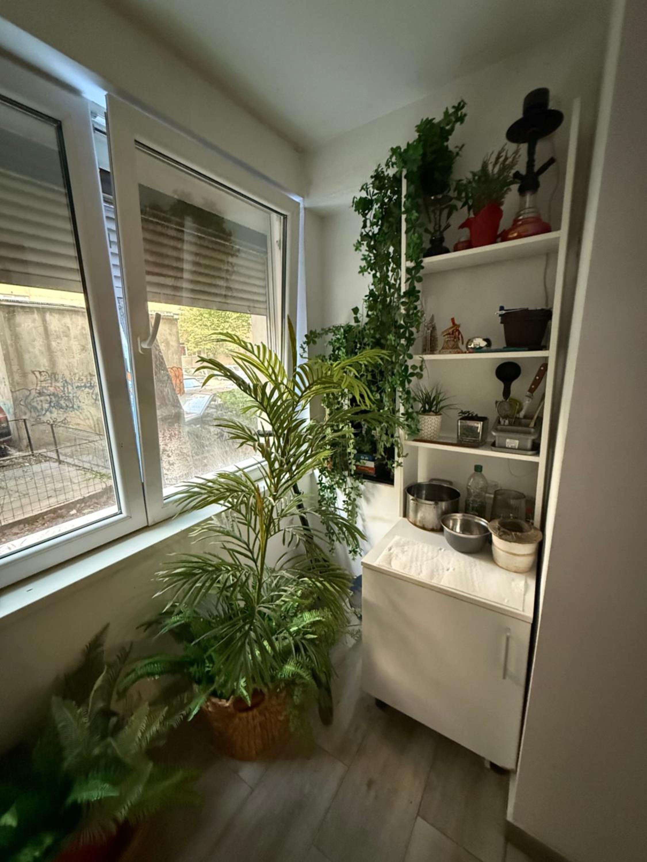 Green Apartment