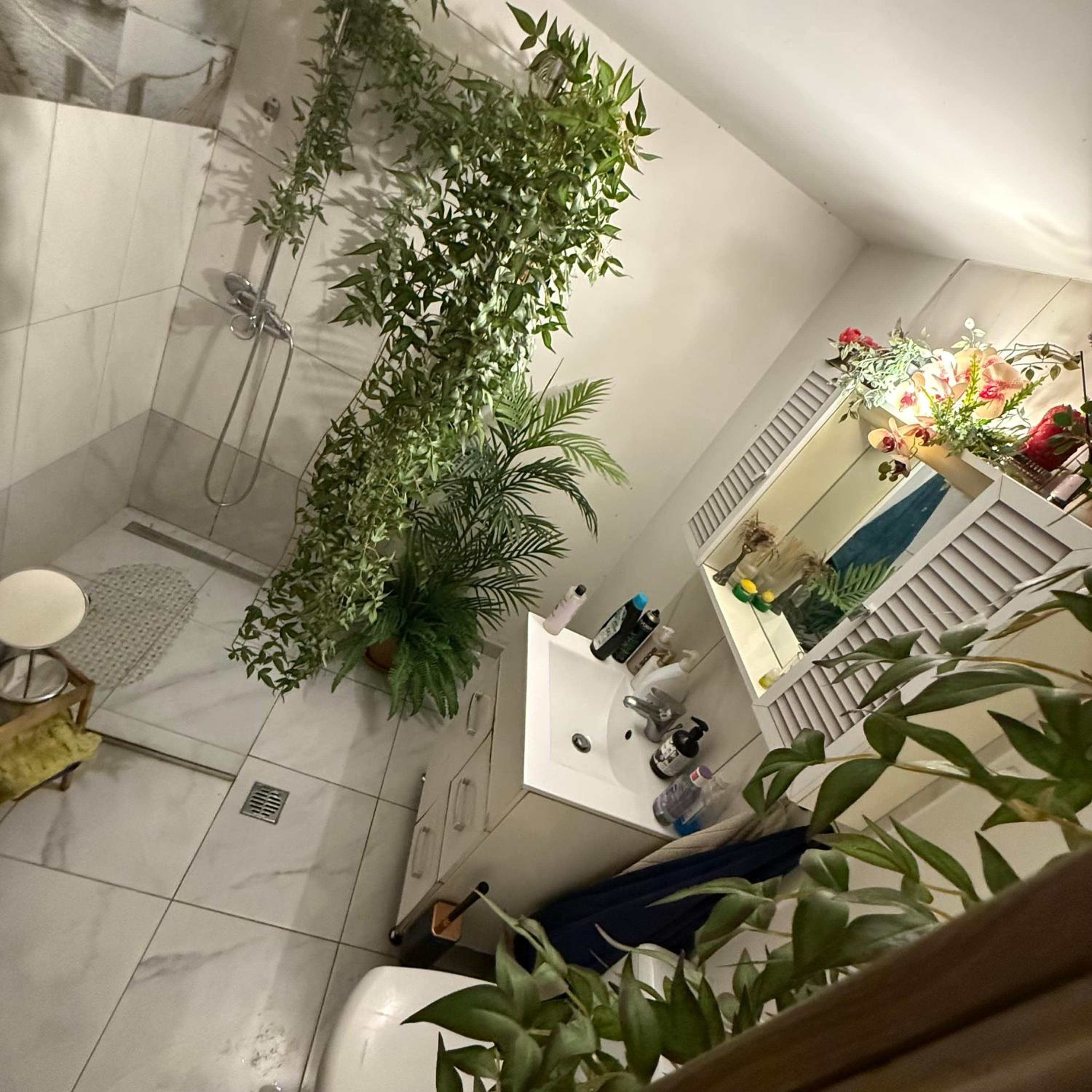 Green Apartment