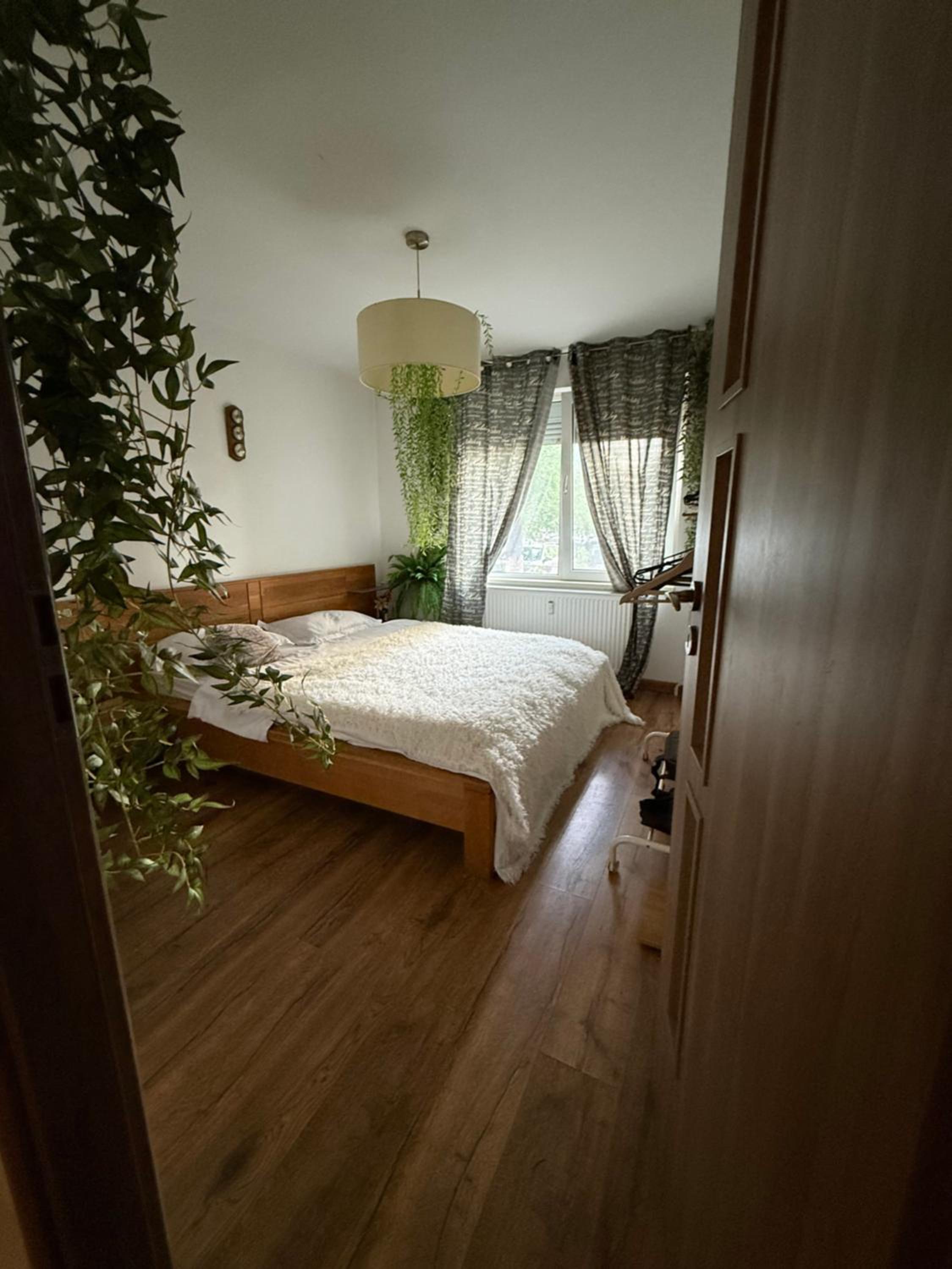 Green Apartment