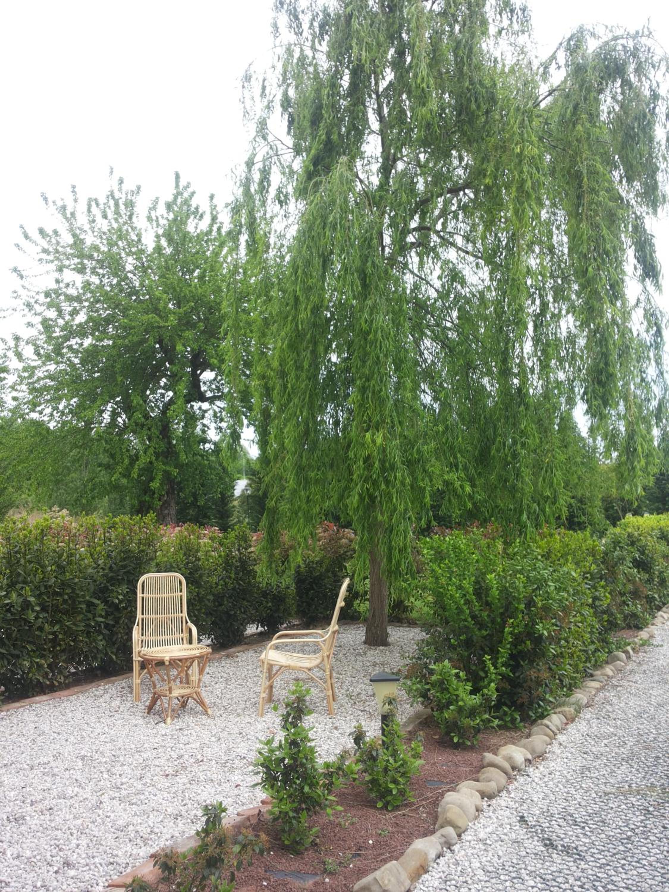 Photo 33