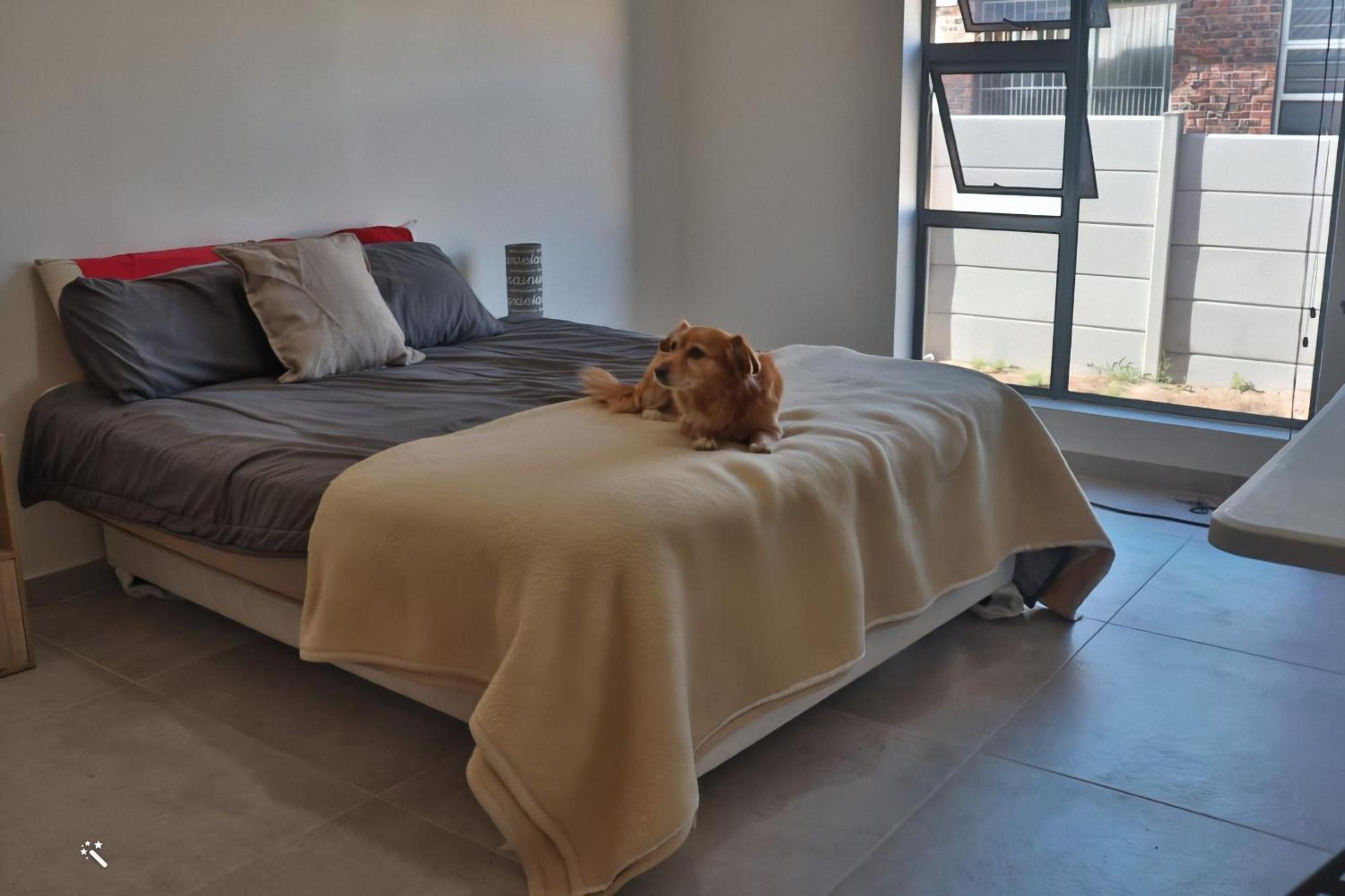 The Loft