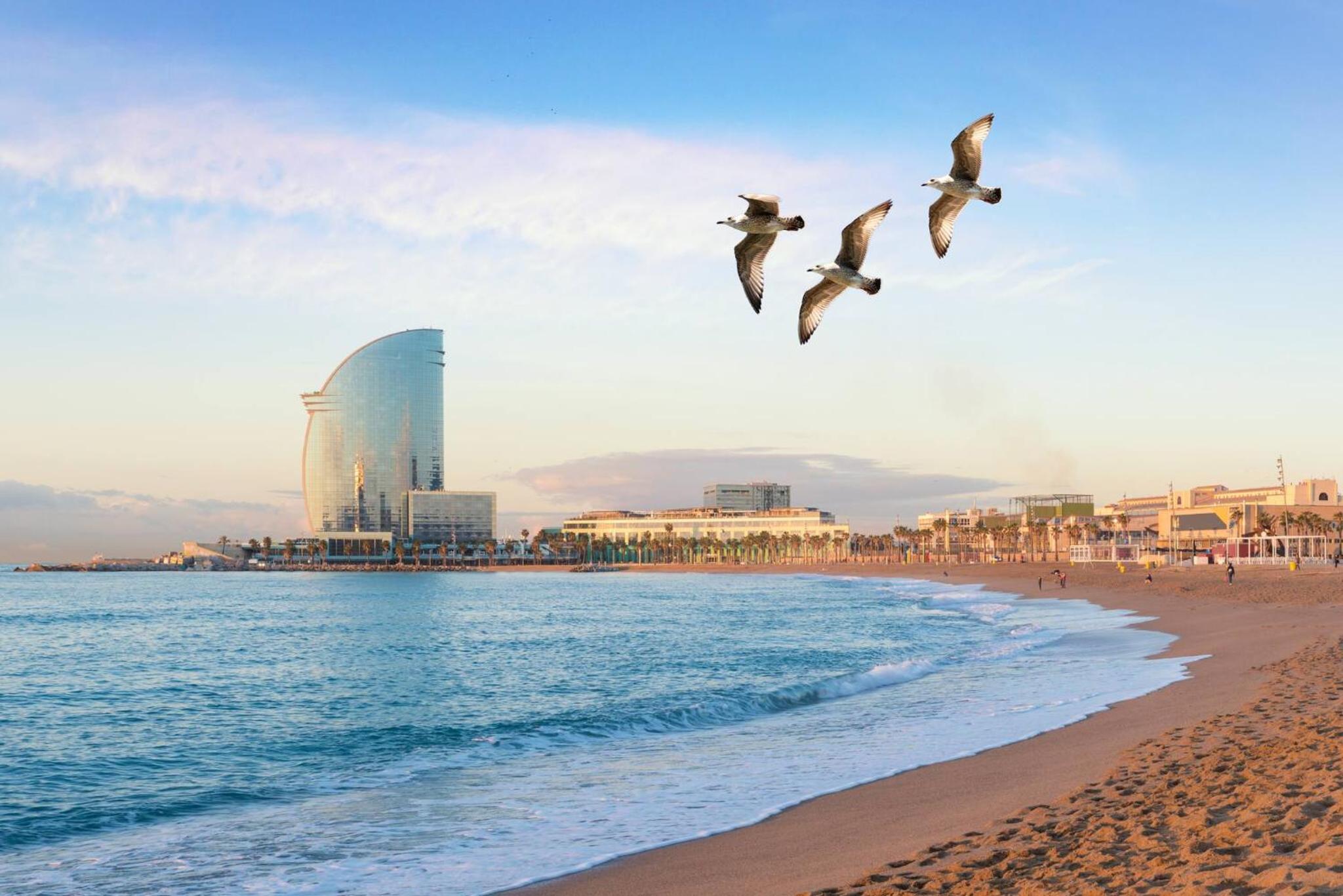 Apartamento Moderno con Balcón Meridiana Barcelona