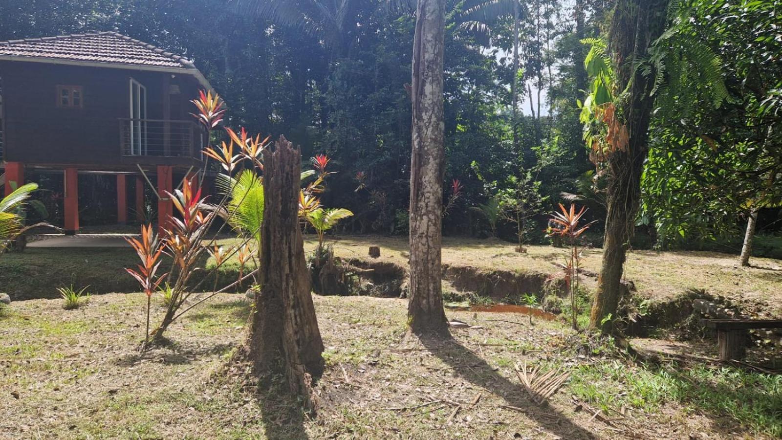 Nature lodge