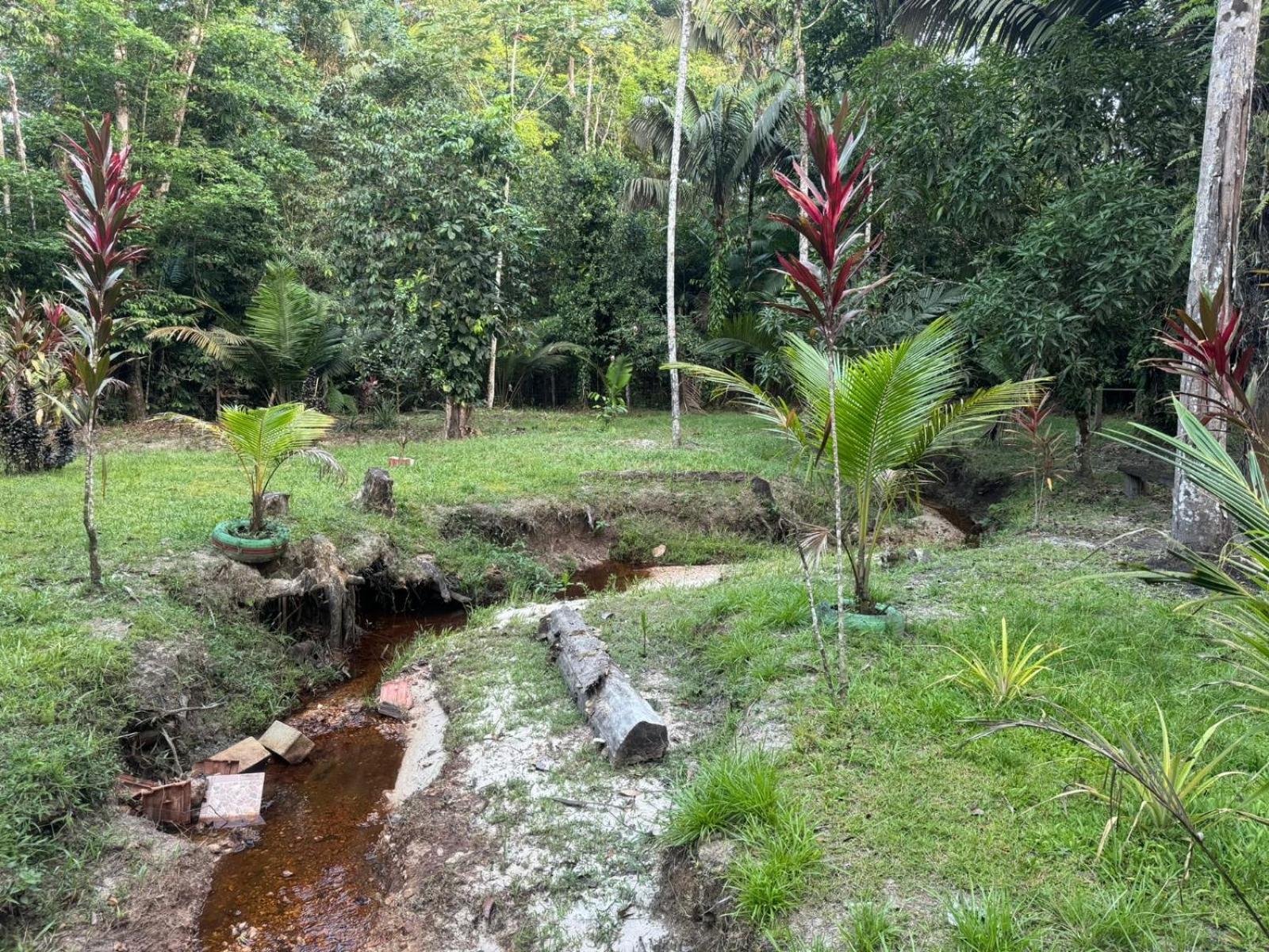 Nature lodge