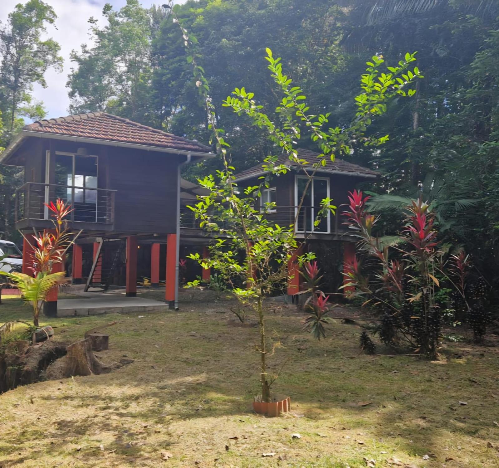 Nature lodge