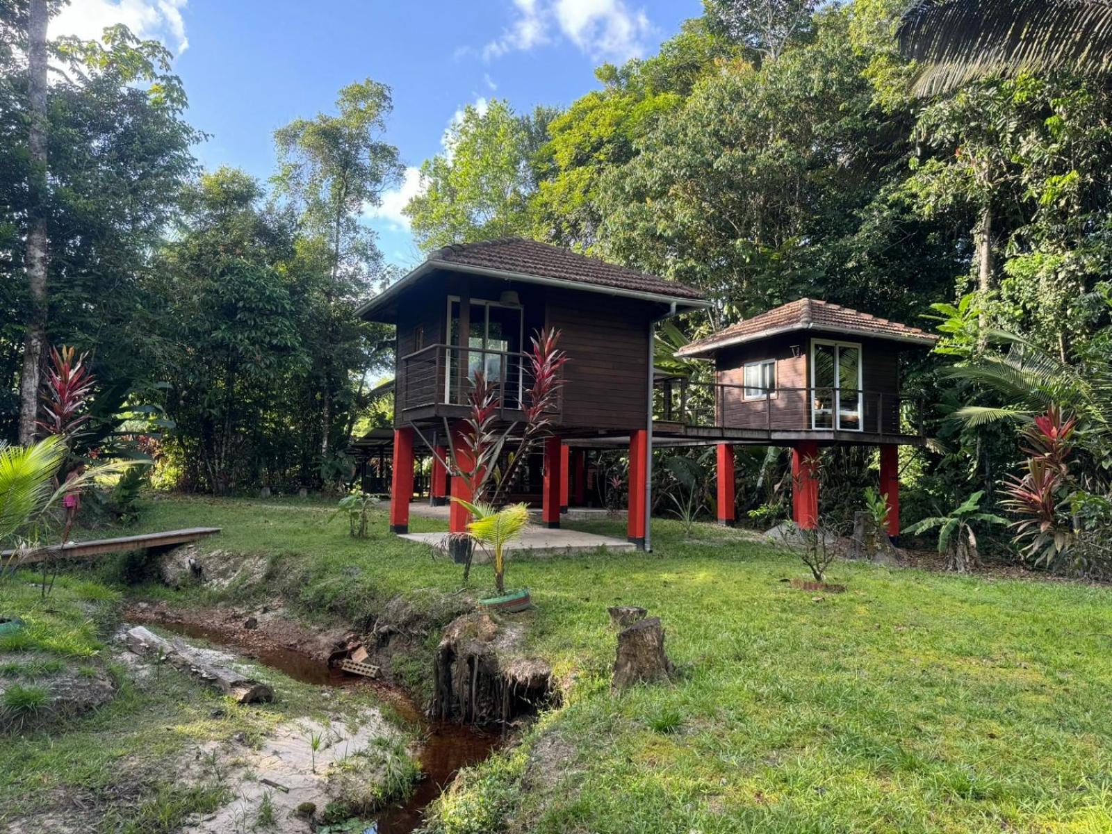 Nature lodge