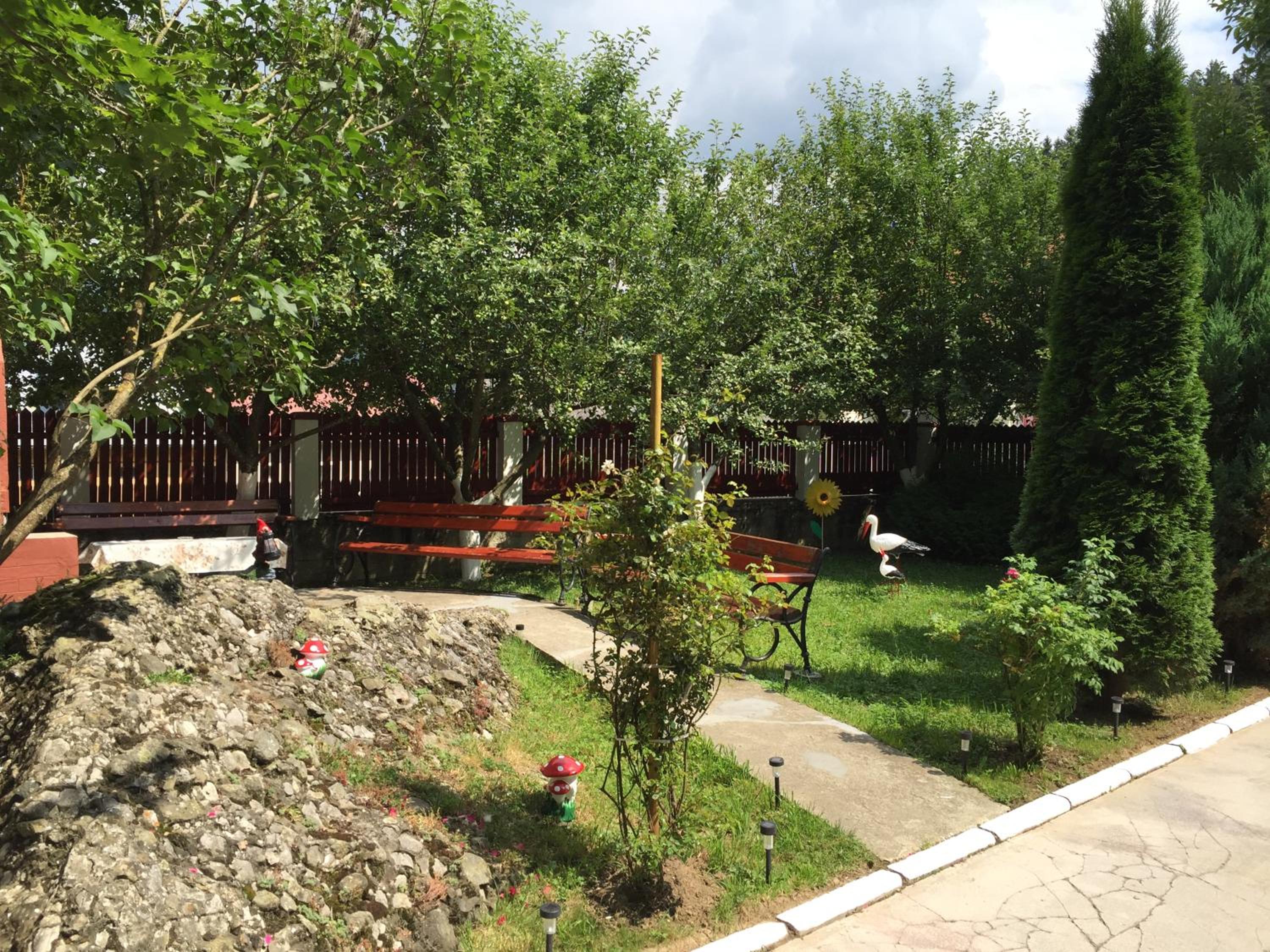 Photo 17