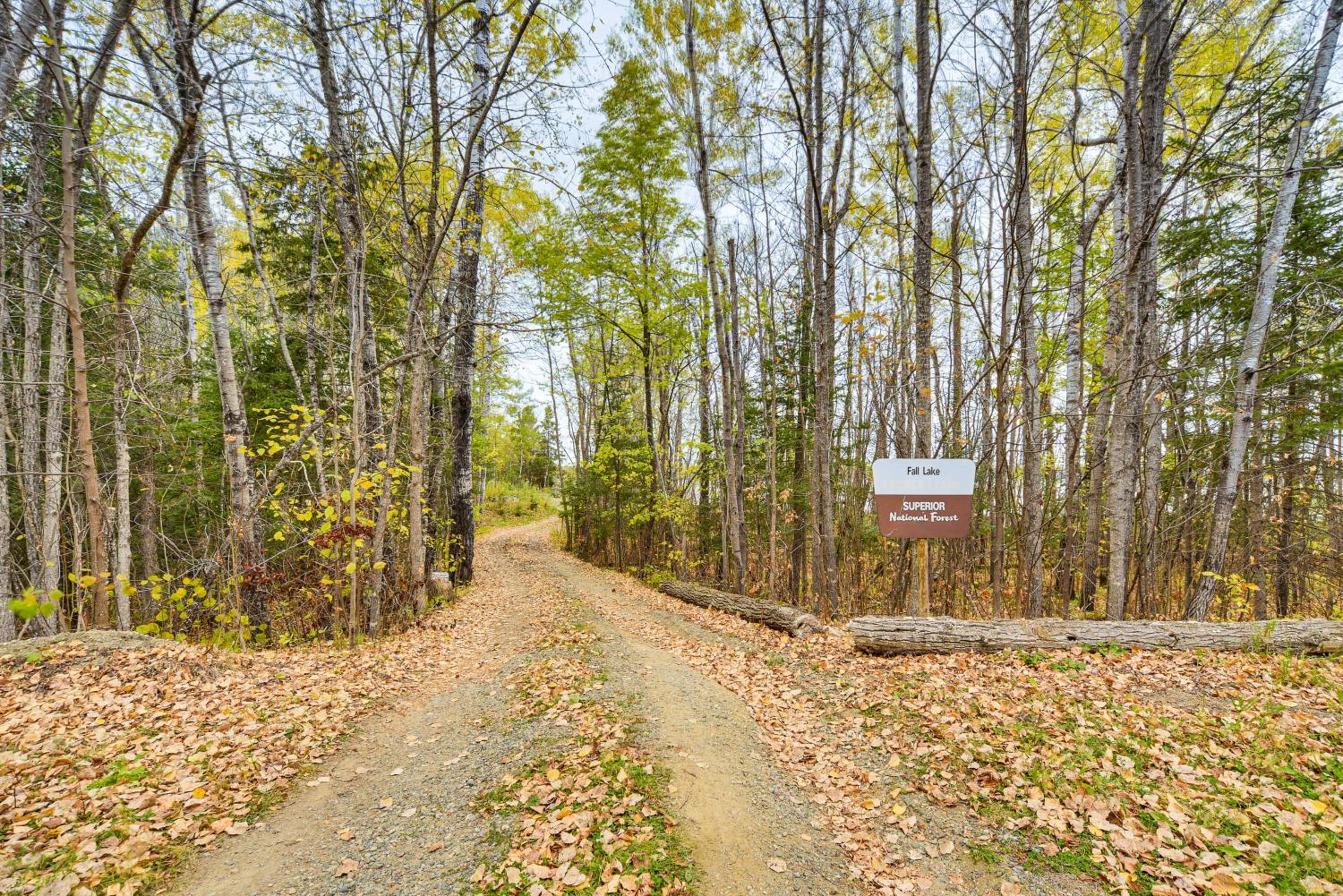 Private Peninsula! Modern-Rustic Fall Lake Cabin